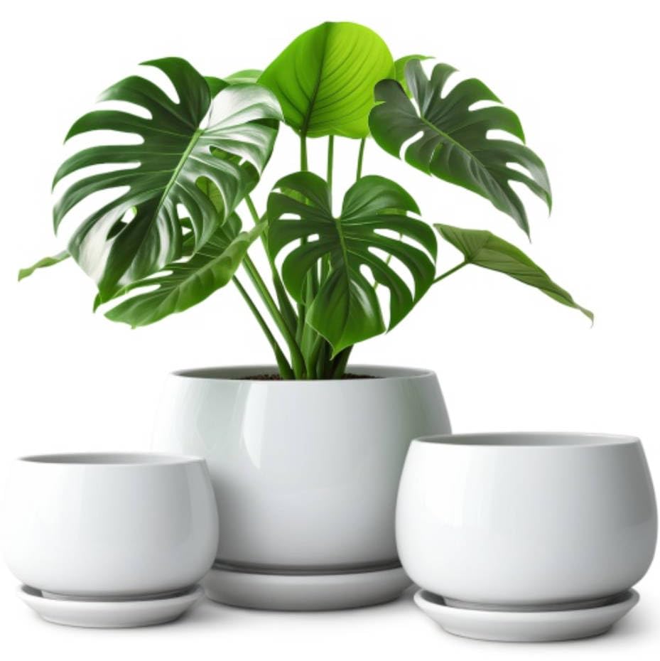 vancasso 3-Pack Ceramic Plant Pots, 3.7/4.8/6.2 Inch Indoor Planters with Saucers & Drainage Hole Planter pots for Indoor Plants and Flower, White