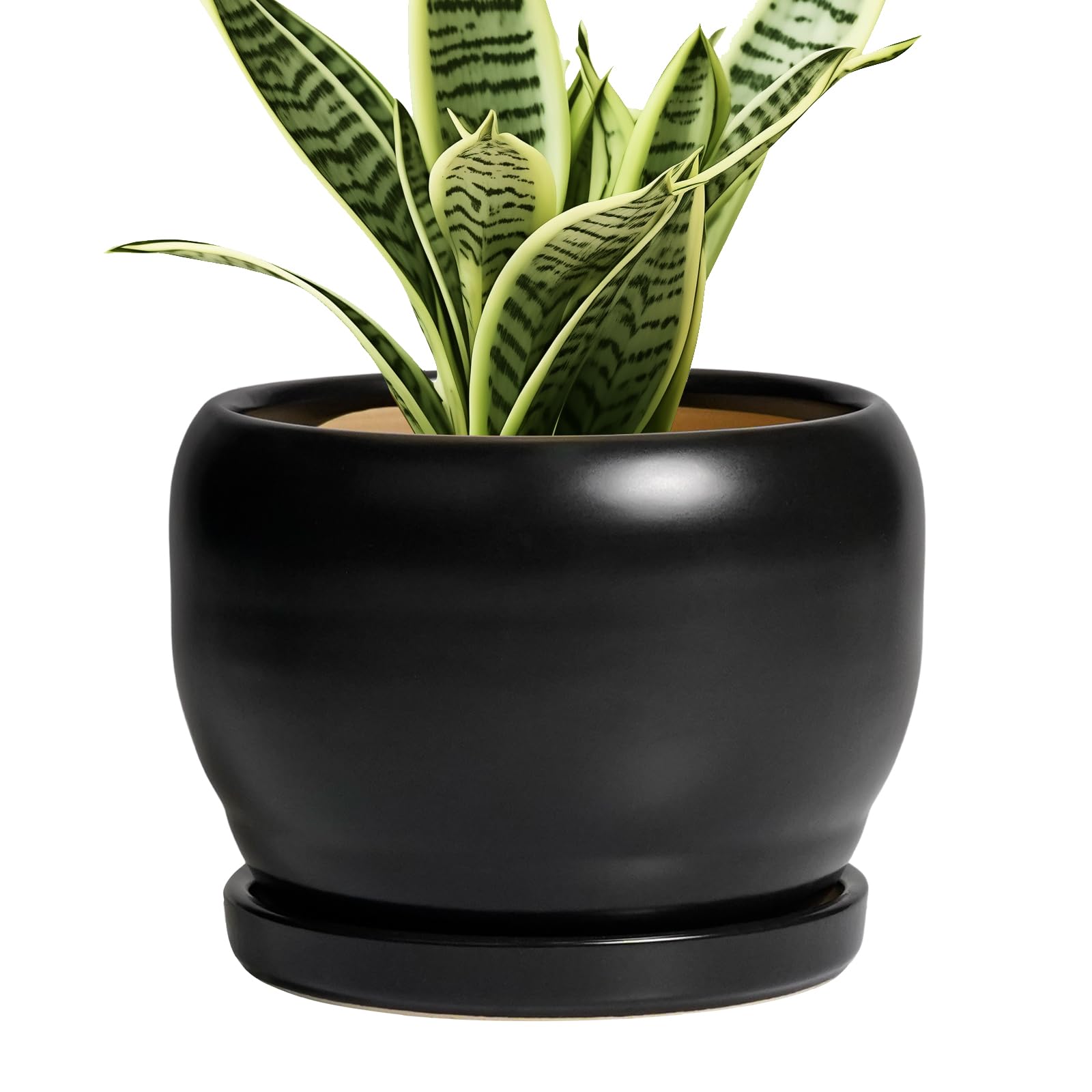 SQOWL Ceramic Planter 8 Inch - Pot for Indoor Outdoor Plants Round Ceramic Plant Pot with Drainage Hole and Saucer Modern Flower Pot Glazed Blue