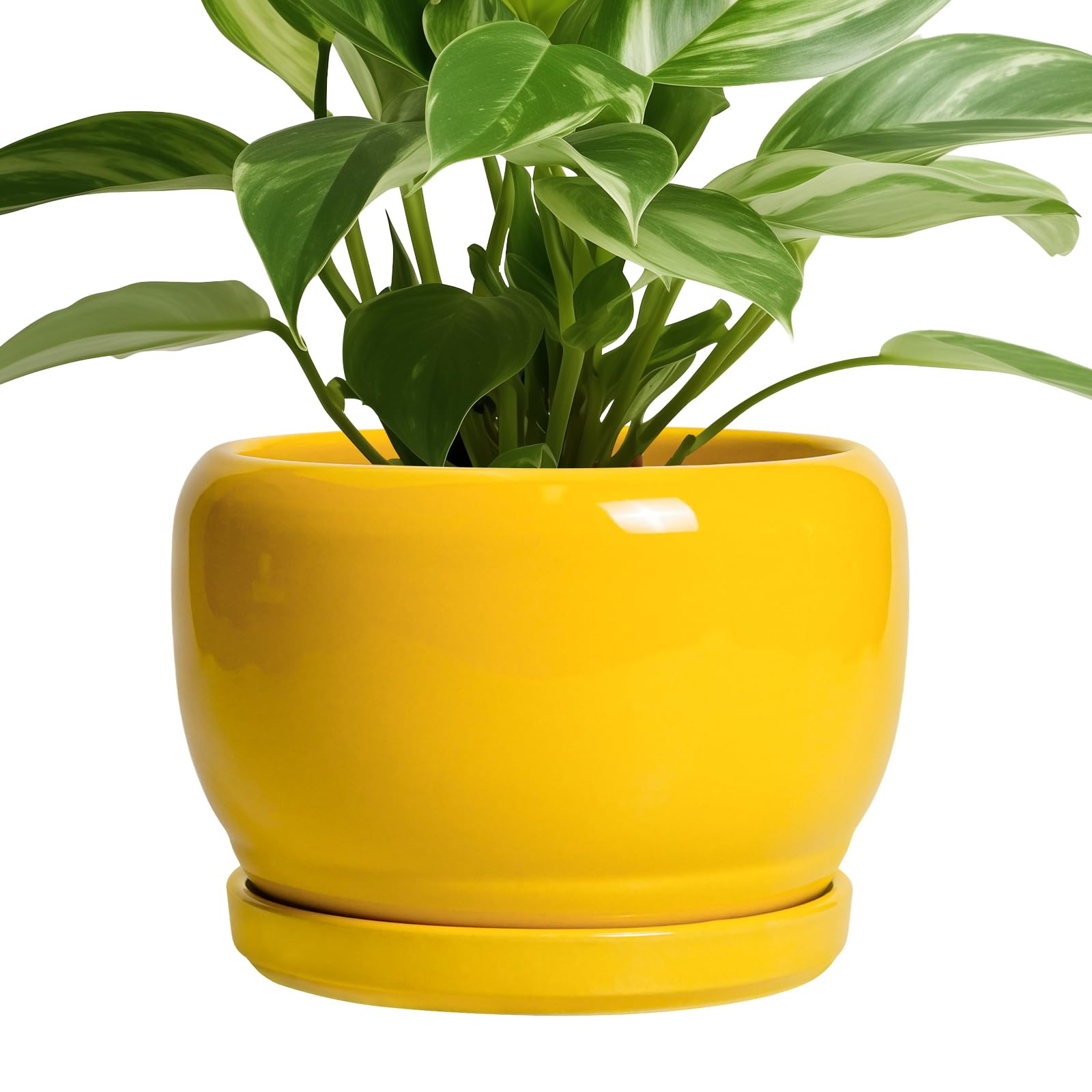 SQOWL Ceramic Planter 8 Inch - Pot for Indoor Outdoor Plants Round Ceramic Plant Pot with Drainage Hole and Saucer Modern Flower Pot Glazed Blue