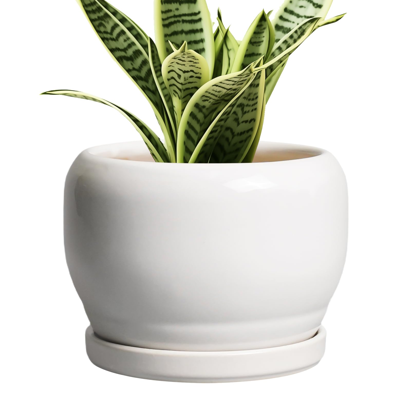 SQOWL Ceramic Planter 8 Inch - Pot for Indoor Outdoor Plants Round Ceramic Plant Pot with Drainage Hole and Saucer Modern Flower Pot Glazed Blue