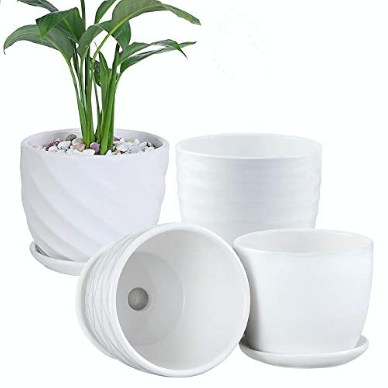 sietpoek Plant Pots - 5.5 Inch Cylinder Ceramic Planters with Connected Saucer, Pots for Succuelnt and Little Snake Plants, Set of 4, White