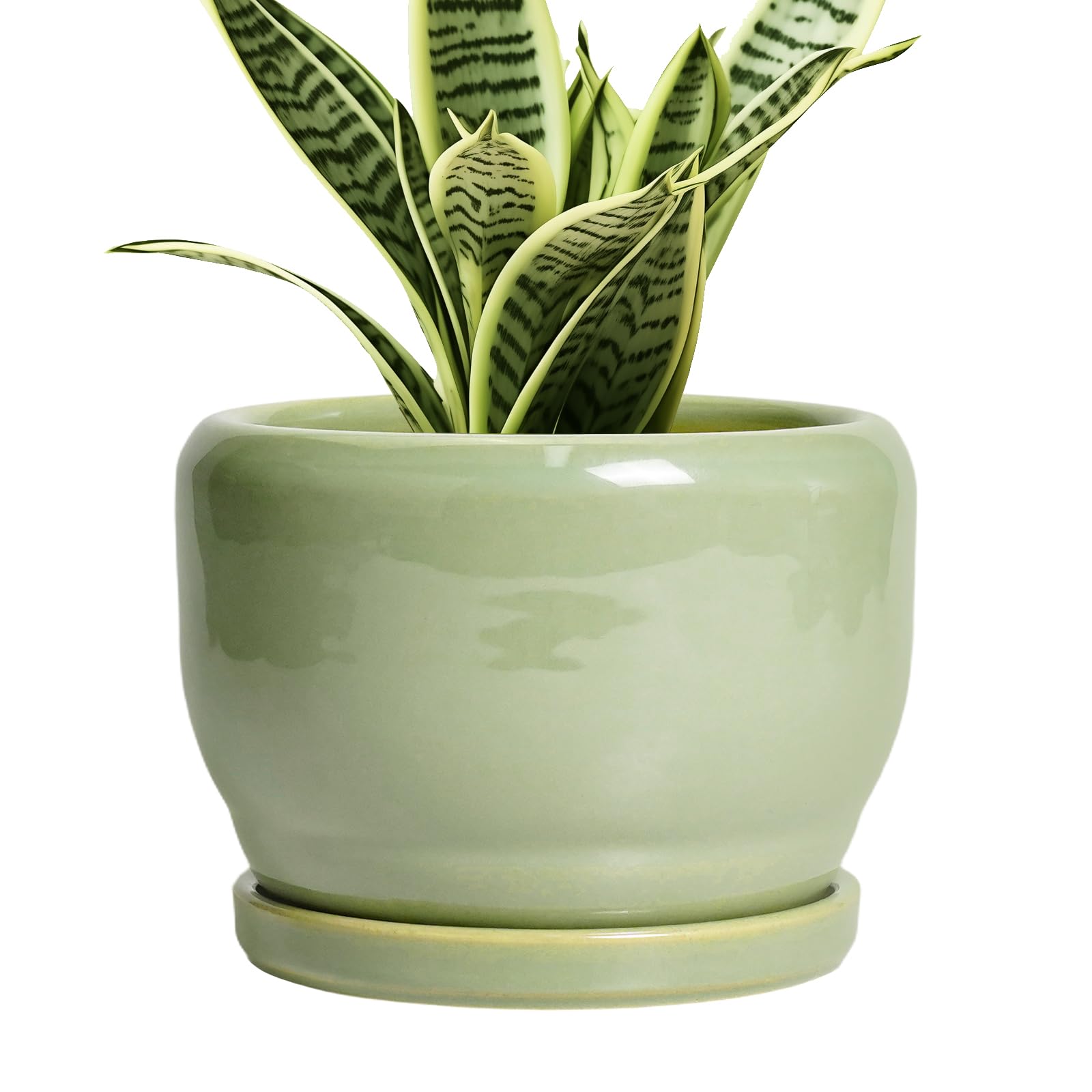 SQOWL Ceramic Planter 8 Inch - Pot for Indoor Outdoor Plants Round Ceramic Plant Pot with Drainage Hole and Saucer Modern Flower Pot Glazed Blue