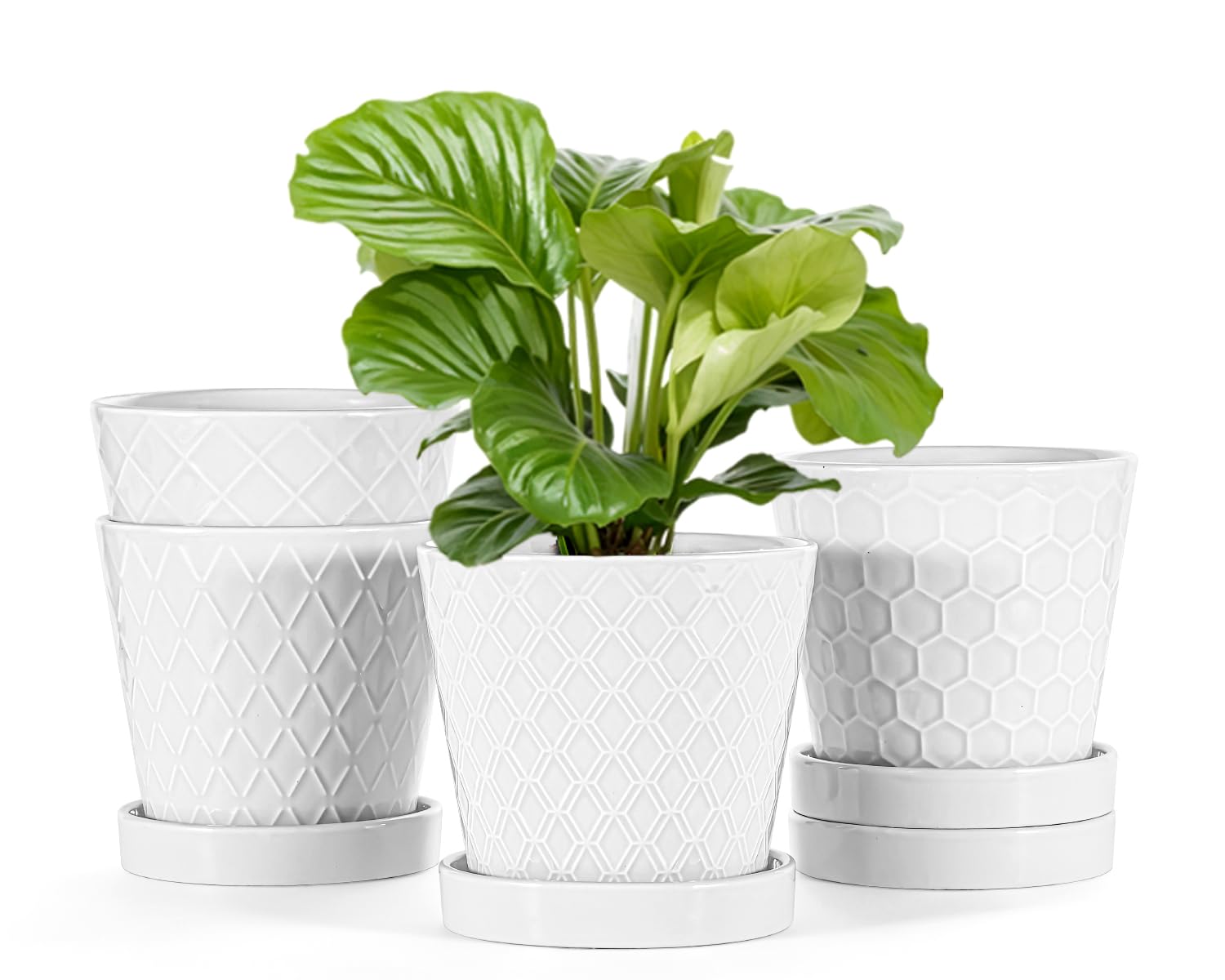 EFISPSS Flower Planter –5 inch Ceramic Plant Pots with Drainage Hole and Ceramic Tray - Gardening Home Desktop Office Windowsill Decoration Gift Set of 4 - Plants NOT Included