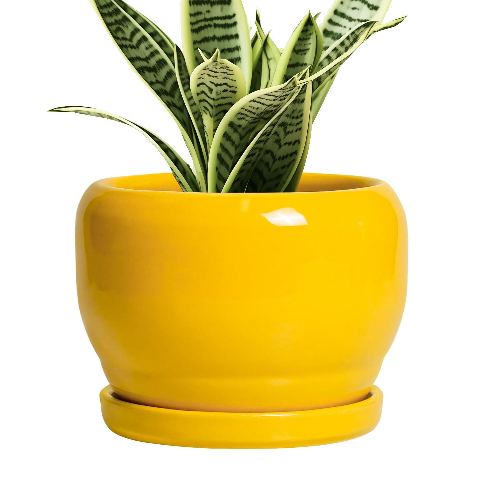 SQOWL Ceramic Planter 8 Inch - Pot for Indoor Outdoor Plants Round Ceramic Plant Pot with Drainage Hole and Saucer Modern Flower Pot Glazed Blue