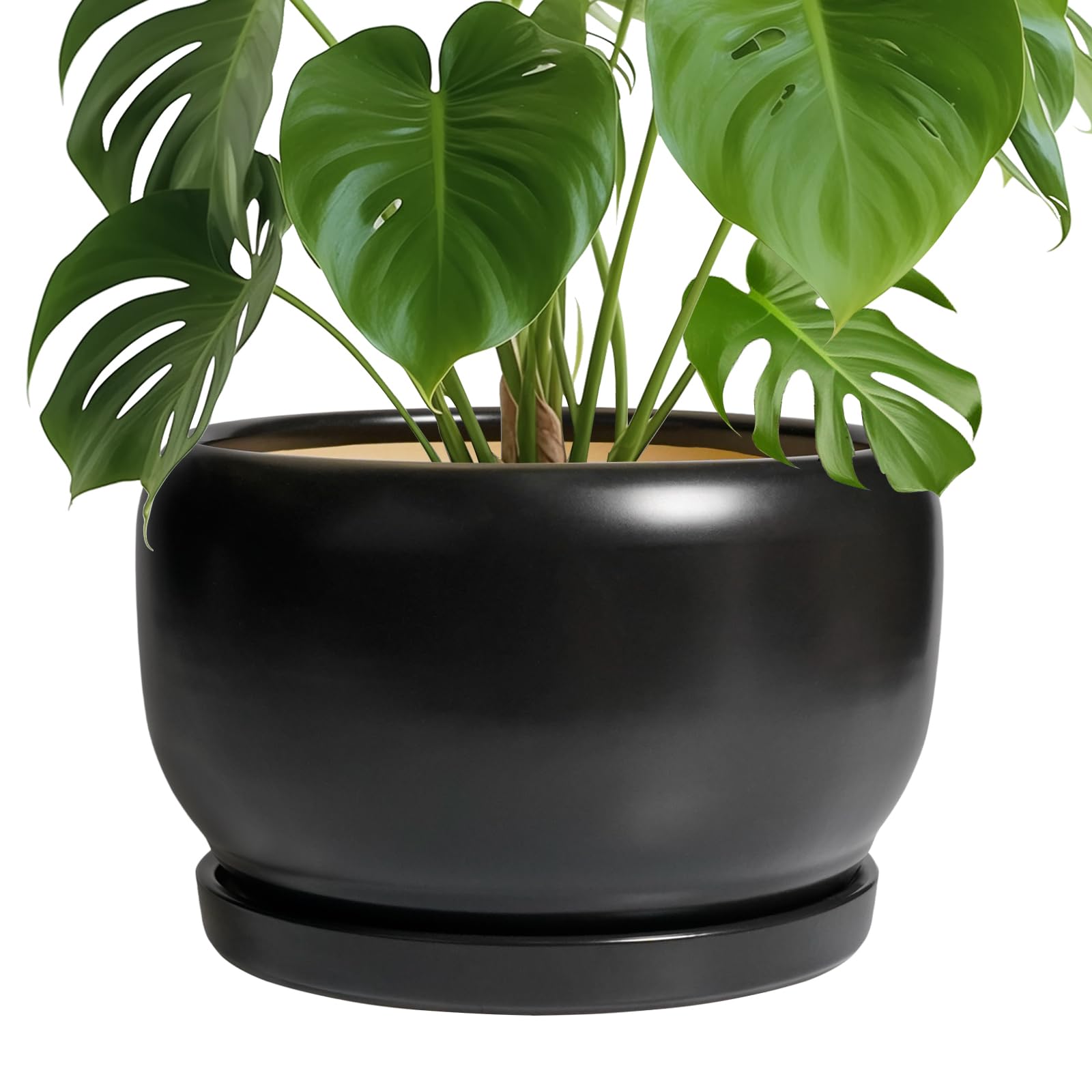 SQOWL Ceramic Planter 8 Inch - Pot for Indoor Outdoor Plants Round Ceramic Plant Pot with Drainage Hole and Saucer Modern Flower Pot Glazed Blue