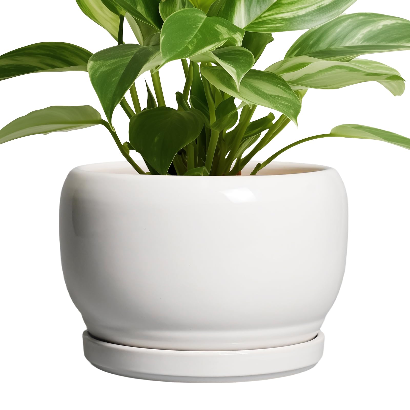 SQOWL Ceramic Planter 8 Inch - Pot for Indoor Outdoor Plants Round Ceramic Plant Pot with Drainage Hole and Saucer Modern Flower Pot Glazed Blue
