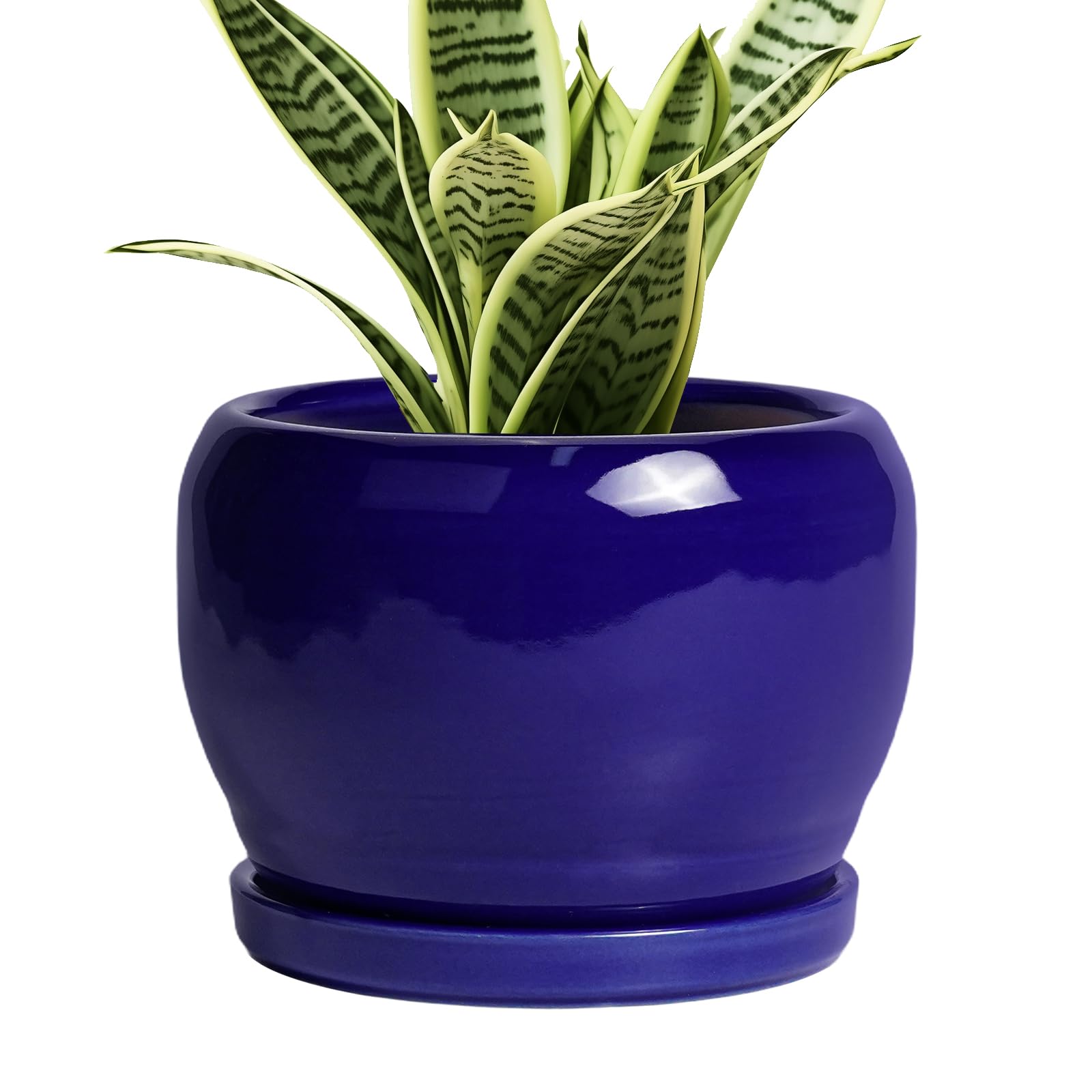 SQOWL Ceramic Planter 8 Inch - Pot for Indoor Outdoor Plants Round Ceramic Plant Pot with Drainage Hole and Saucer Modern Flower Pot Glazed Blue