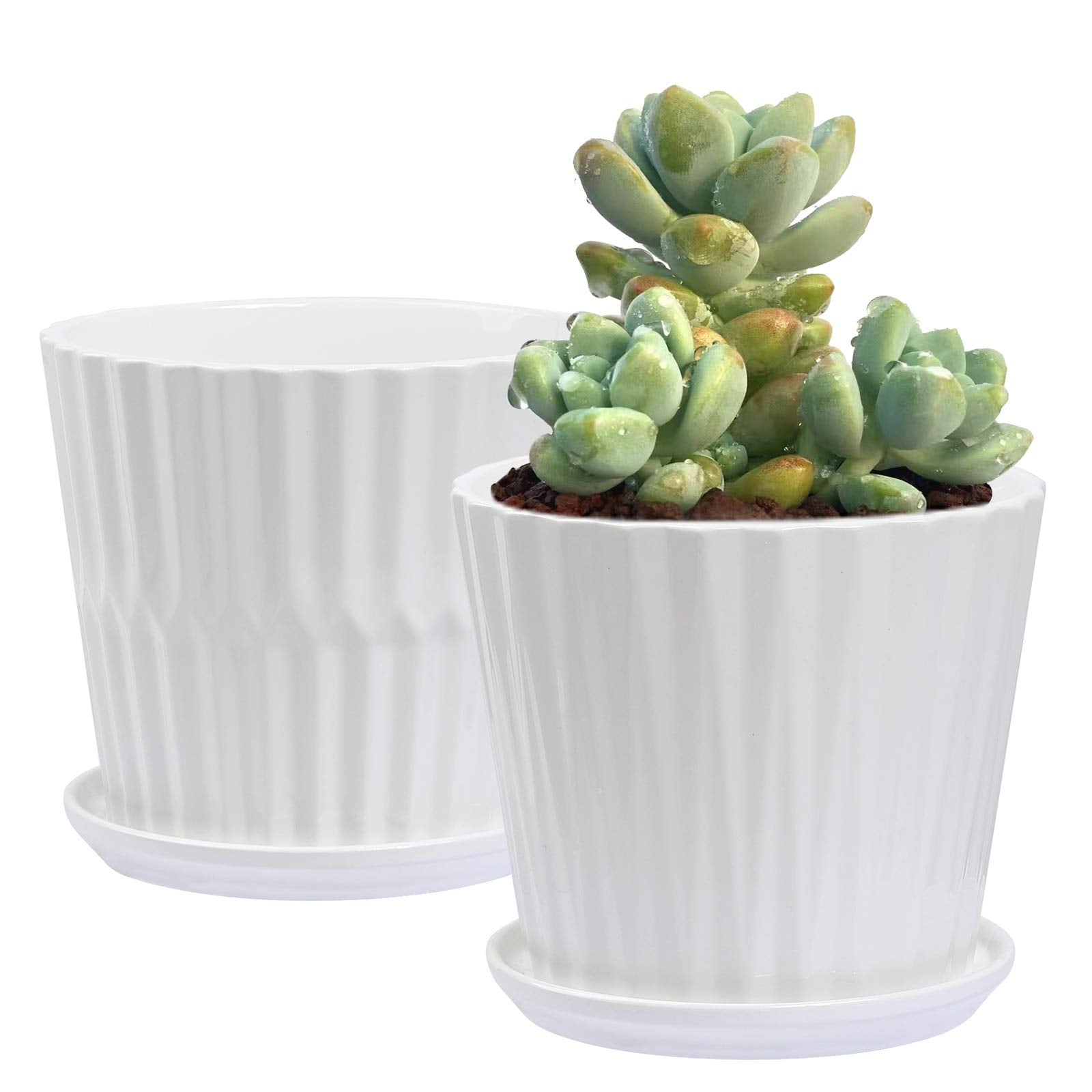 sietpoek Plant Pots - 5.5 Inch Cylinder Ceramic Planters with Connected Saucer, Pots for Succuelnt and Little Snake Plants, Set of 4, White