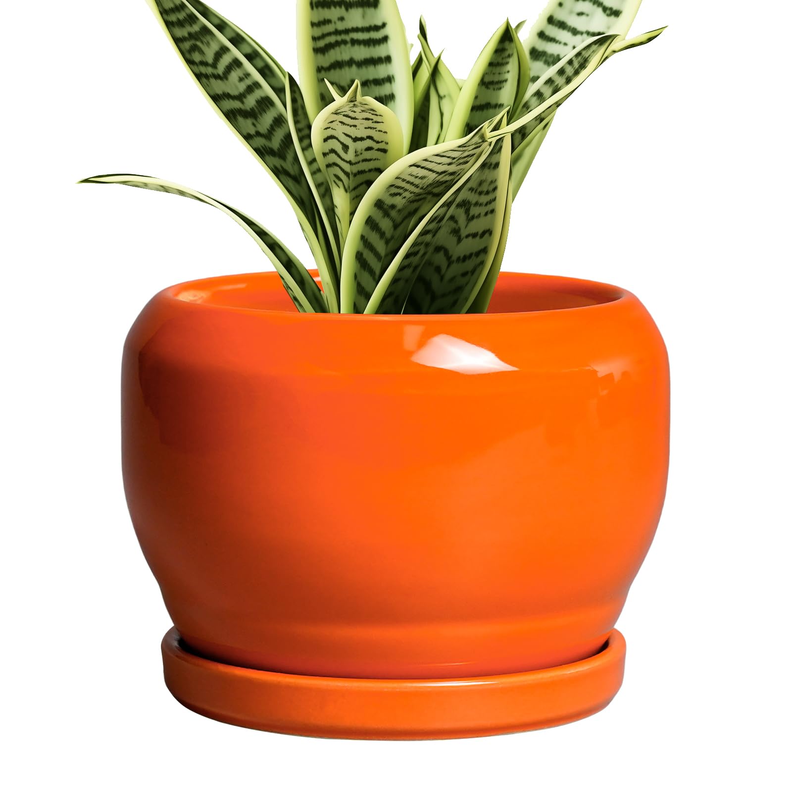 SQOWL Ceramic Planter 8 Inch - Pot for Indoor Outdoor Plants Round Ceramic Plant Pot with Drainage Hole and Saucer Modern Flower Pot Glazed Blue