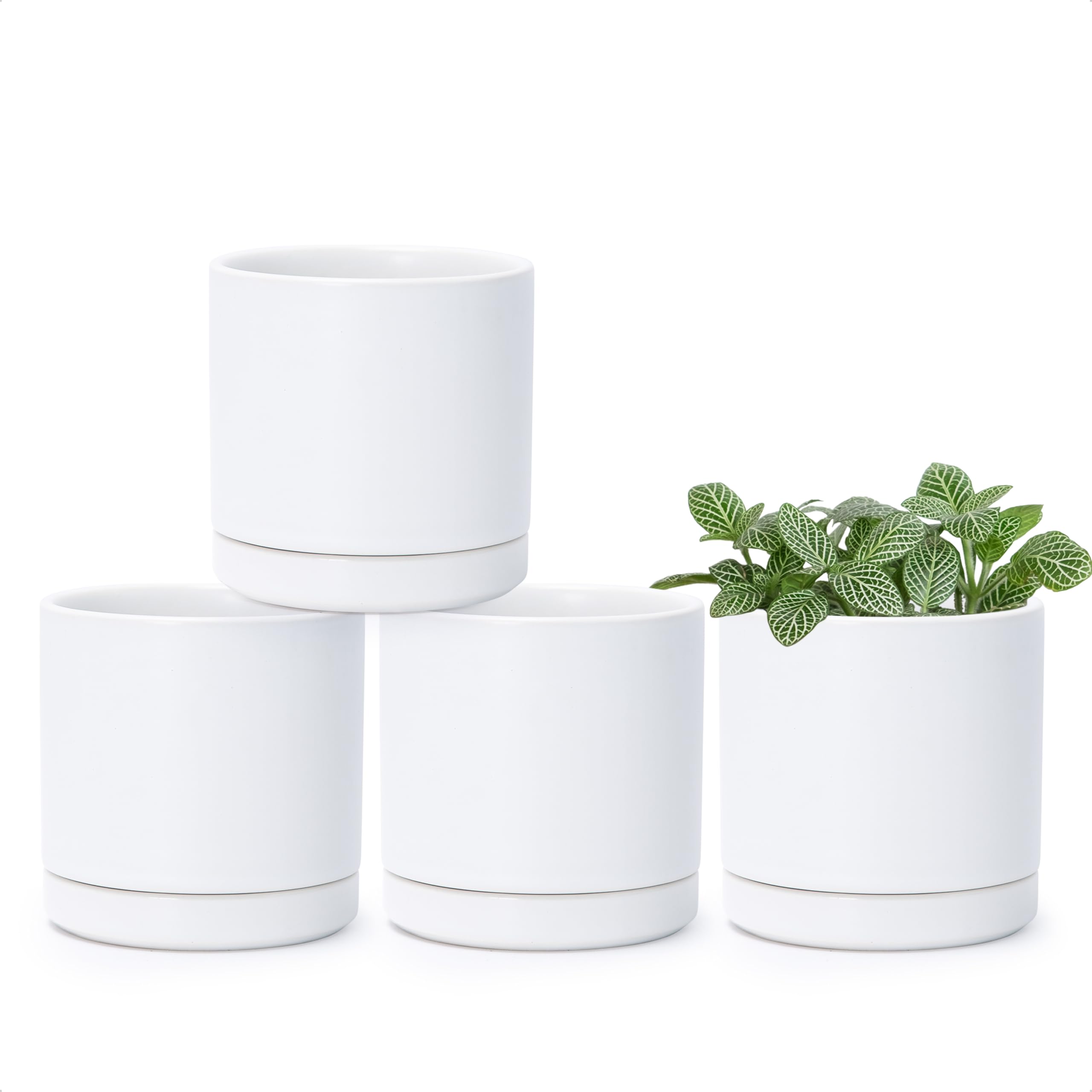 D'vine Dev Set of 4 Small Ceramic Plant Pots, 4.7 Inch Succulent Planter Pot for Plants with Drainage Hole and Saucer, White, 94-X-B-1