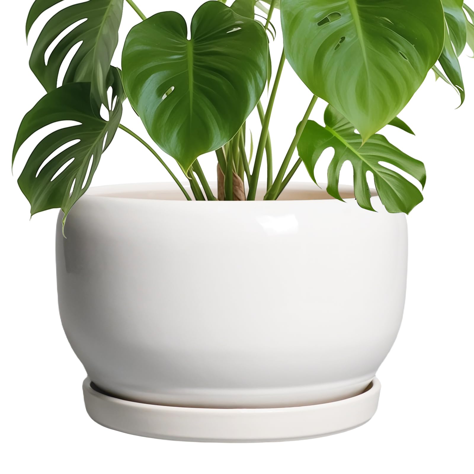 SQOWL Ceramic Planter 8 Inch - Pot for Indoor Outdoor Plants Round Ceramic Plant Pot with Drainage Hole and Saucer Modern Flower Pot Glazed Blue