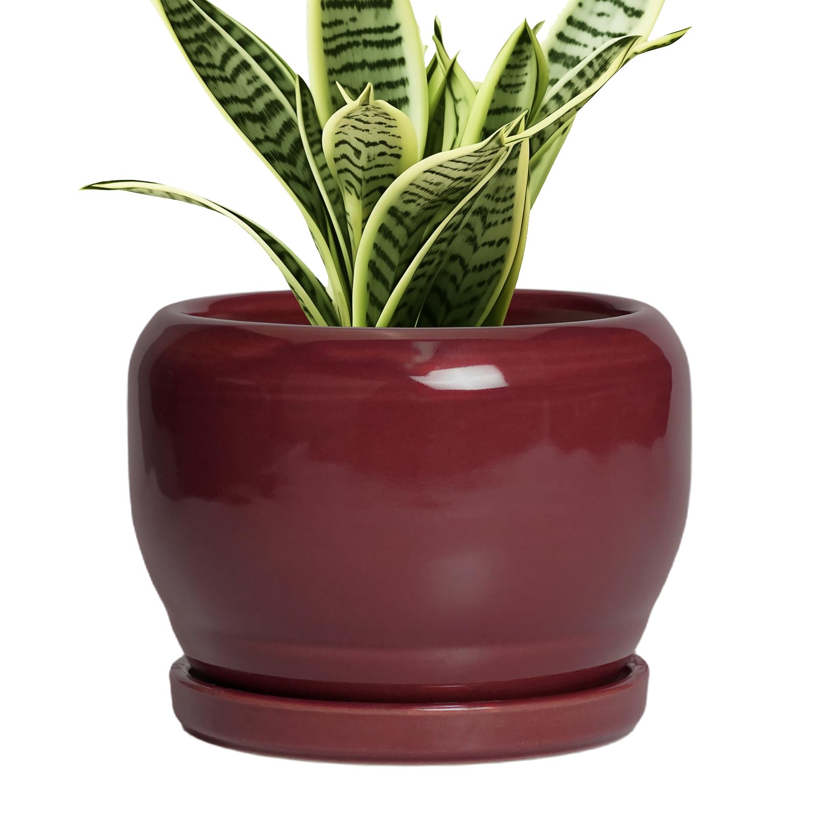 SQOWL Ceramic Planter 8 Inch - Pot for Indoor Outdoor Plants Round Ceramic Plant Pot with Drainage Hole and Saucer Modern Flower Pot Glazed Blue