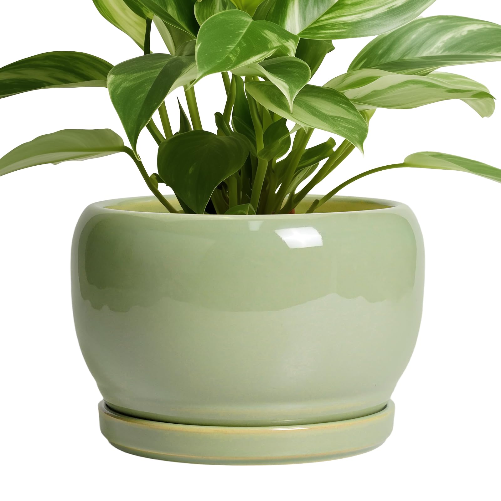 SQOWL Ceramic Planter 8 Inch - Pot for Indoor Outdoor Plants Round Ceramic Plant Pot with Drainage Hole and Saucer Modern Flower Pot Glazed Blue