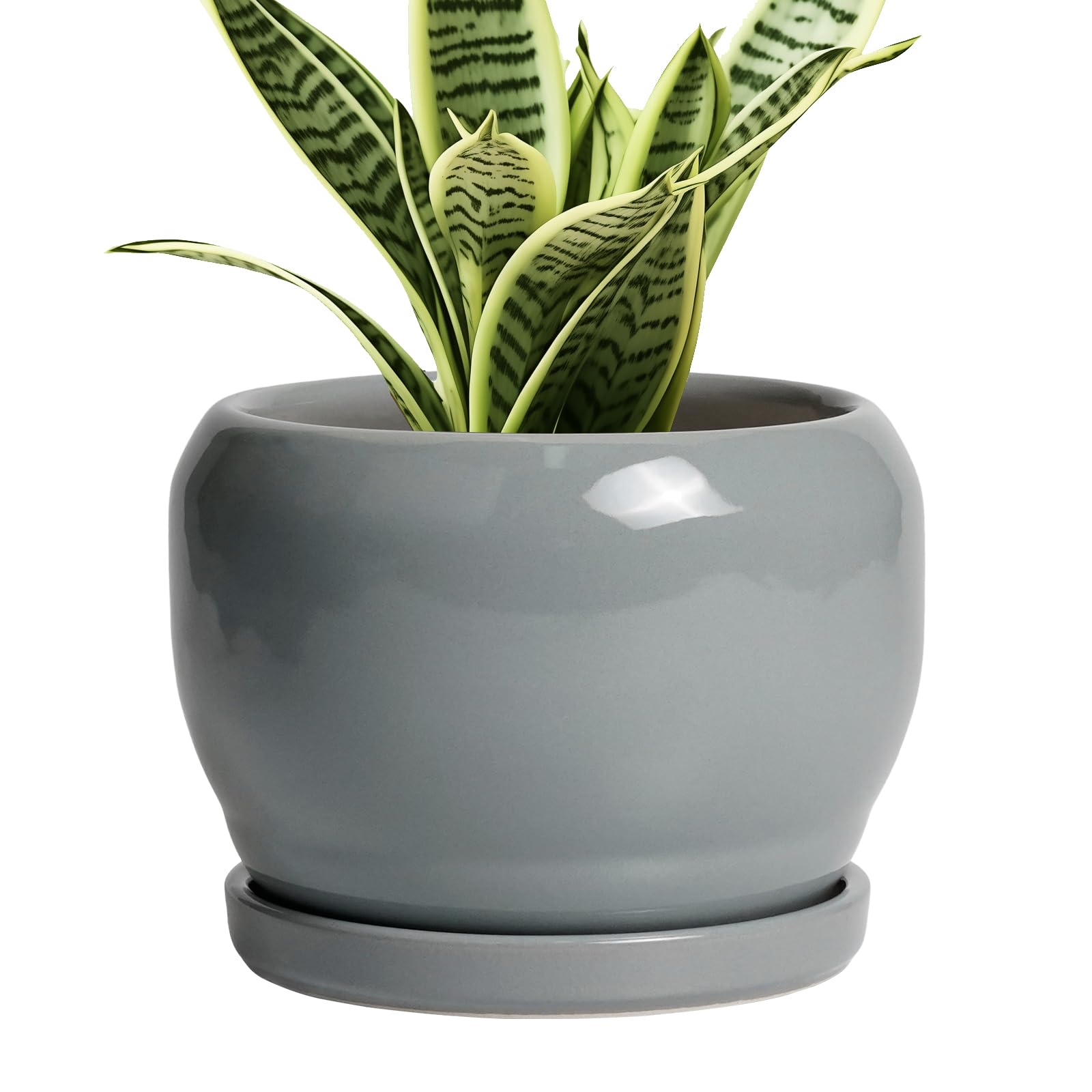 SQOWL Ceramic Planter 8 Inch - Pot for Indoor Outdoor Plants Round Ceramic Plant Pot with Drainage Hole and Saucer Modern Flower Pot Glazed Blue