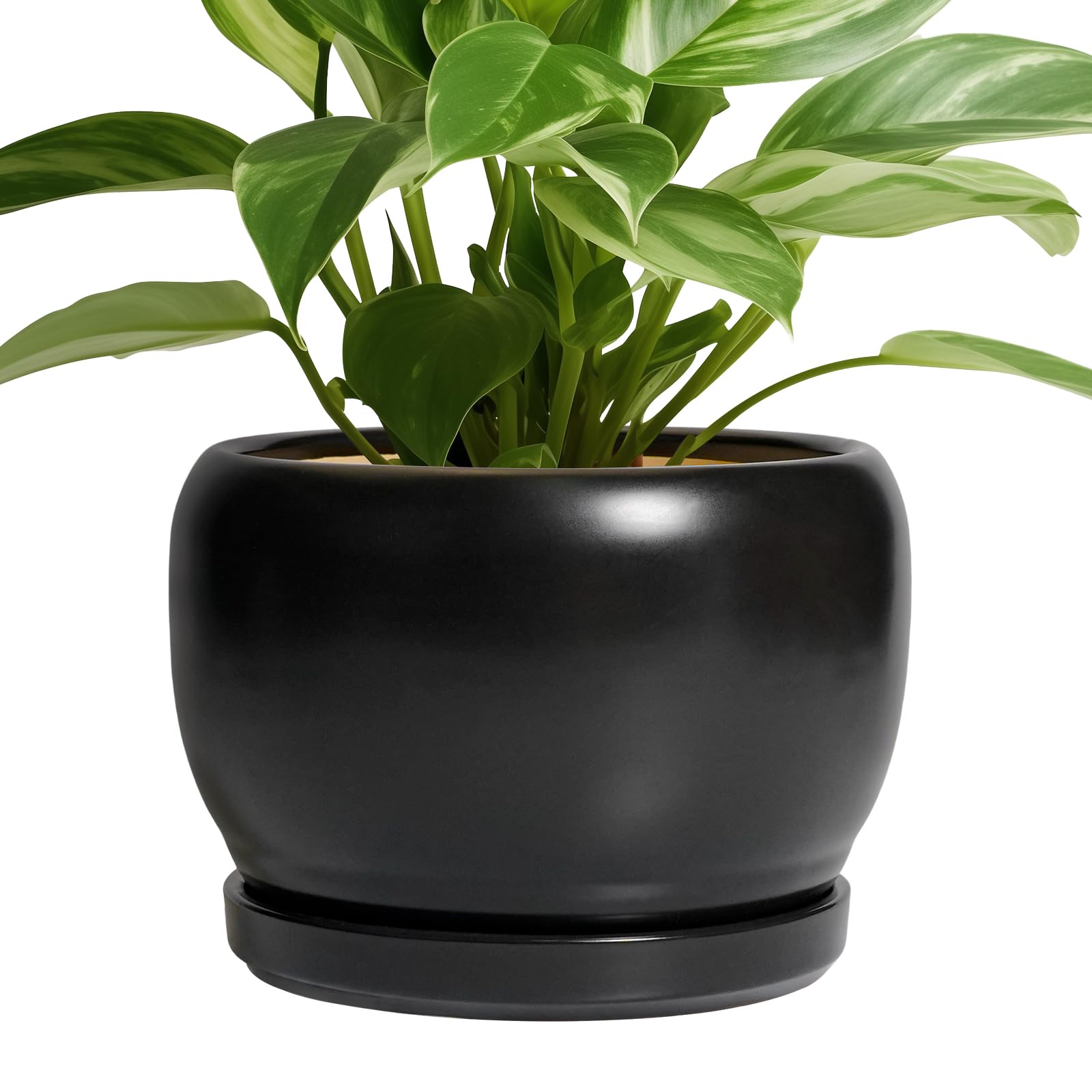 SQOWL Ceramic Planter 8 Inch - Pot for Indoor Outdoor Plants Round Ceramic Plant Pot with Drainage Hole and Saucer Modern Flower Pot Glazed Blue