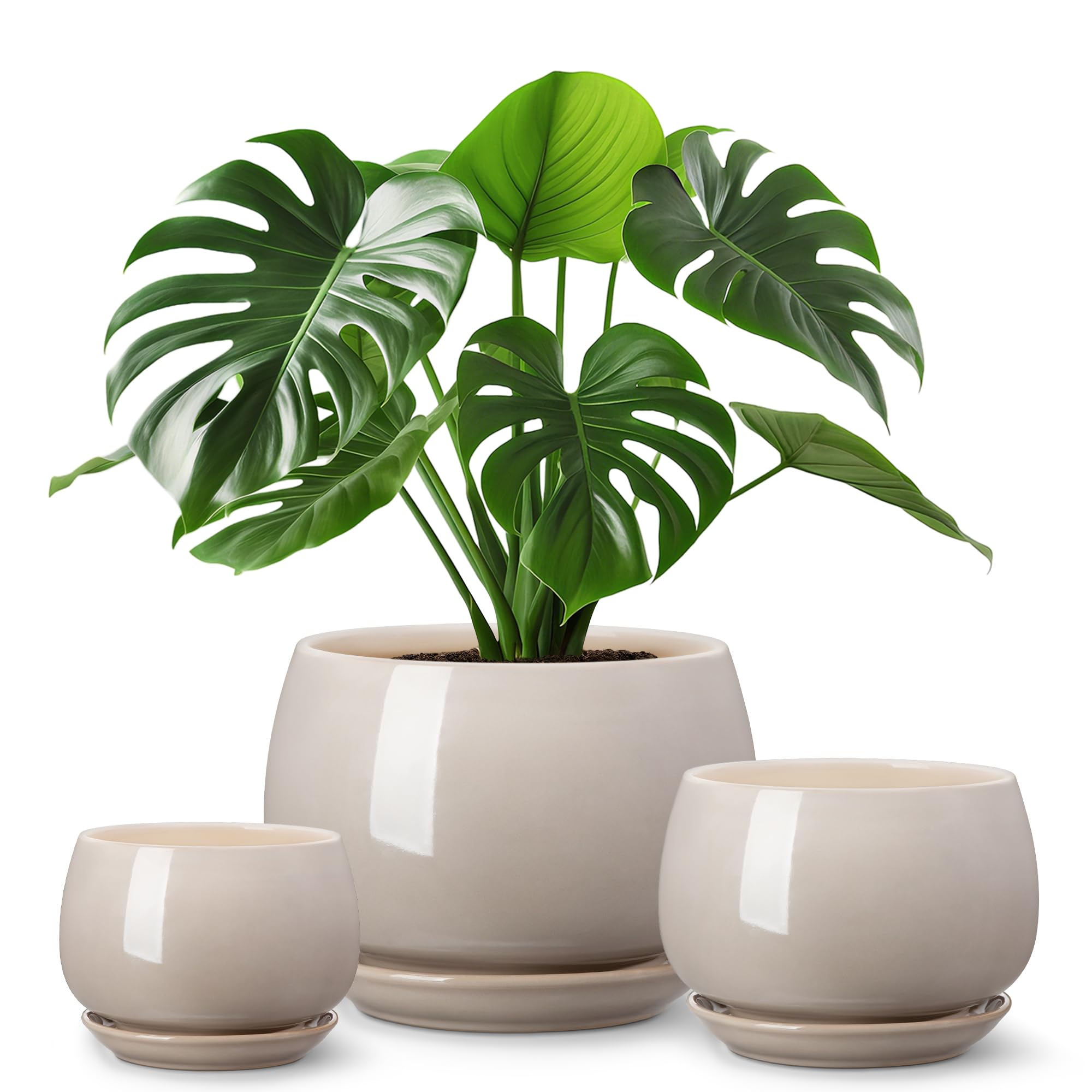 vancasso 3-Pack Ceramic Plant Pots, 3.7/4.8/6.2 Inch Indoor Planters with Saucers & Drainage Hole Planter pots for Indoor Plants and Flower, White