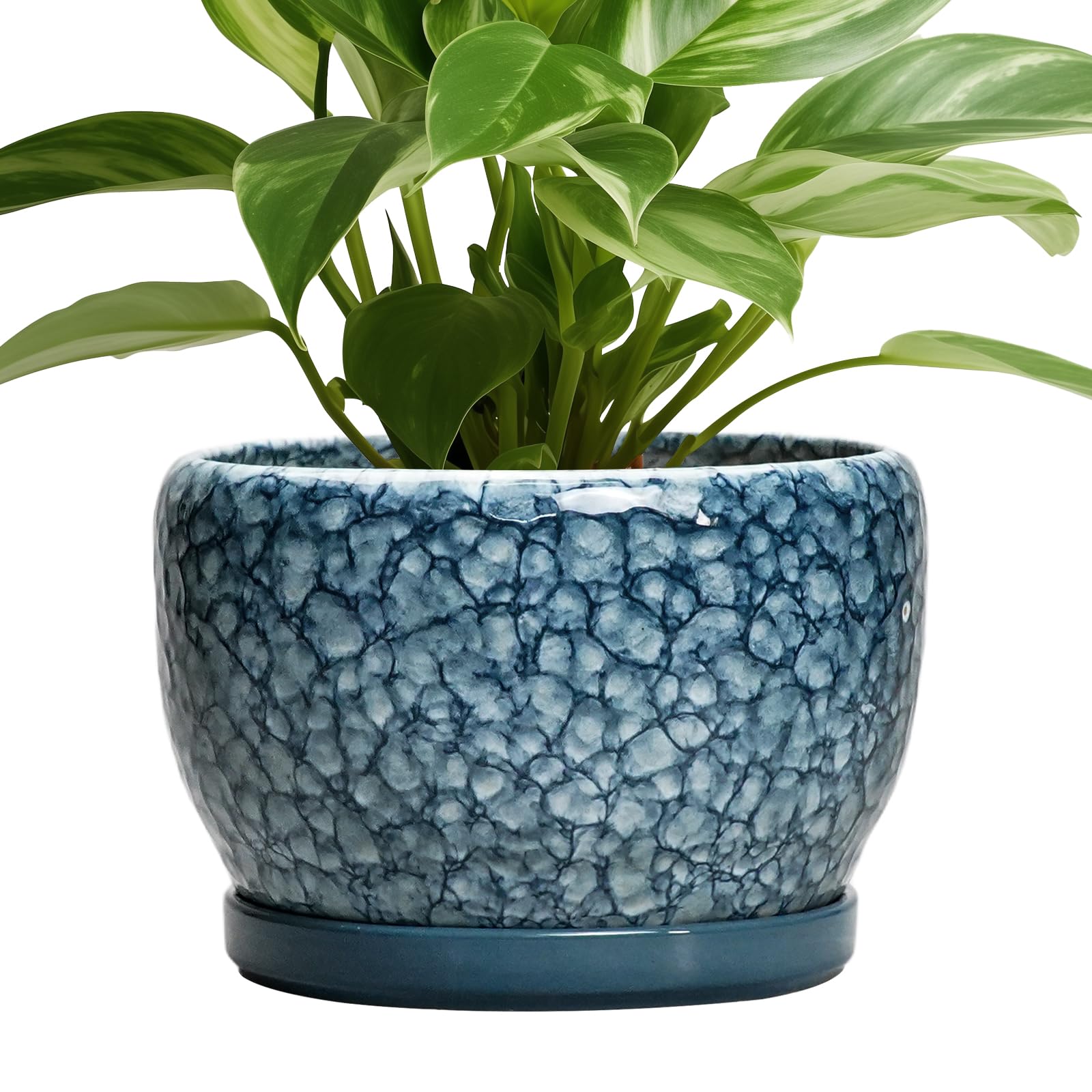 SQOWL Ceramic Planter 8 Inch - Pot for Indoor Outdoor Plants Round Ceramic Plant Pot with Drainage Hole and Saucer Modern Flower Pot Glazed Blue