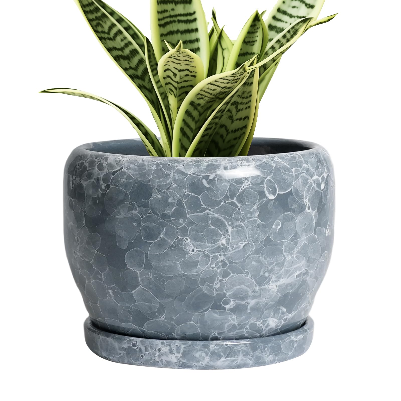 SQOWL Ceramic Planter 8 Inch - Pot for Indoor Outdoor Plants Round Ceramic Plant Pot with Drainage Hole and Saucer Modern Flower Pot Glazed Blue