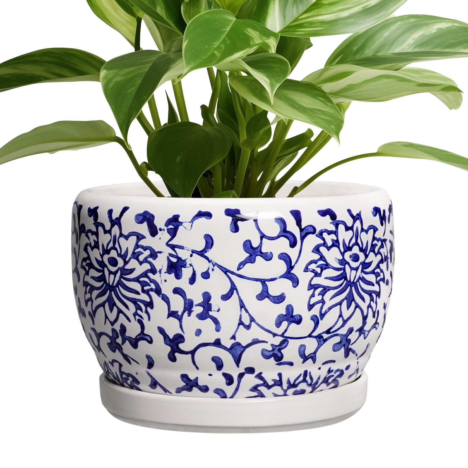 SQOWL Ceramic Planter 8 Inch - Pot for Indoor Outdoor Plants Round Ceramic Plant Pot with Drainage Hole and Saucer Modern Flower Pot Glazed Blue