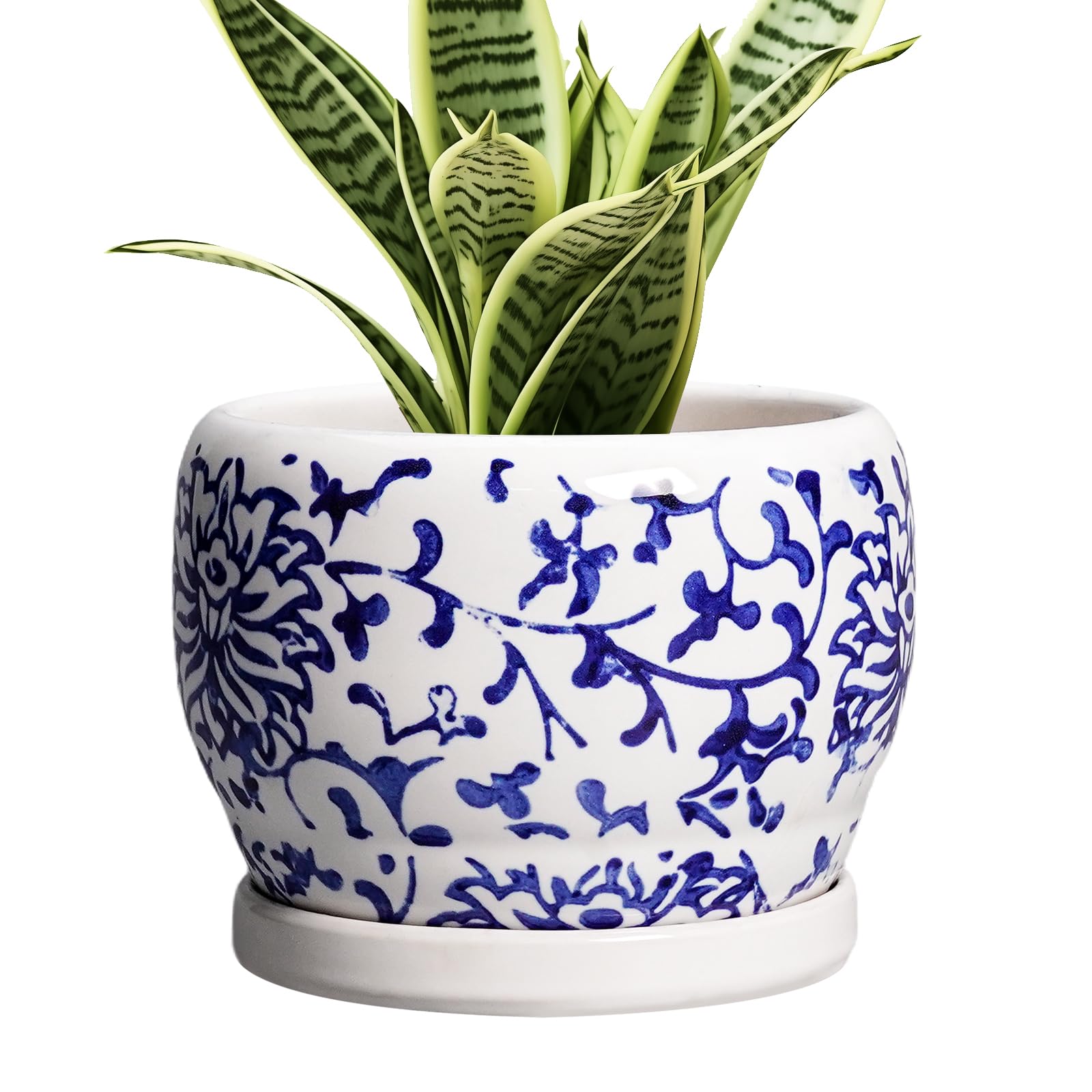 SQOWL Ceramic Planter 8 Inch - Pot for Indoor Outdoor Plants Round Ceramic Plant Pot with Drainage Hole and Saucer Modern Flower Pot Glazed Blue