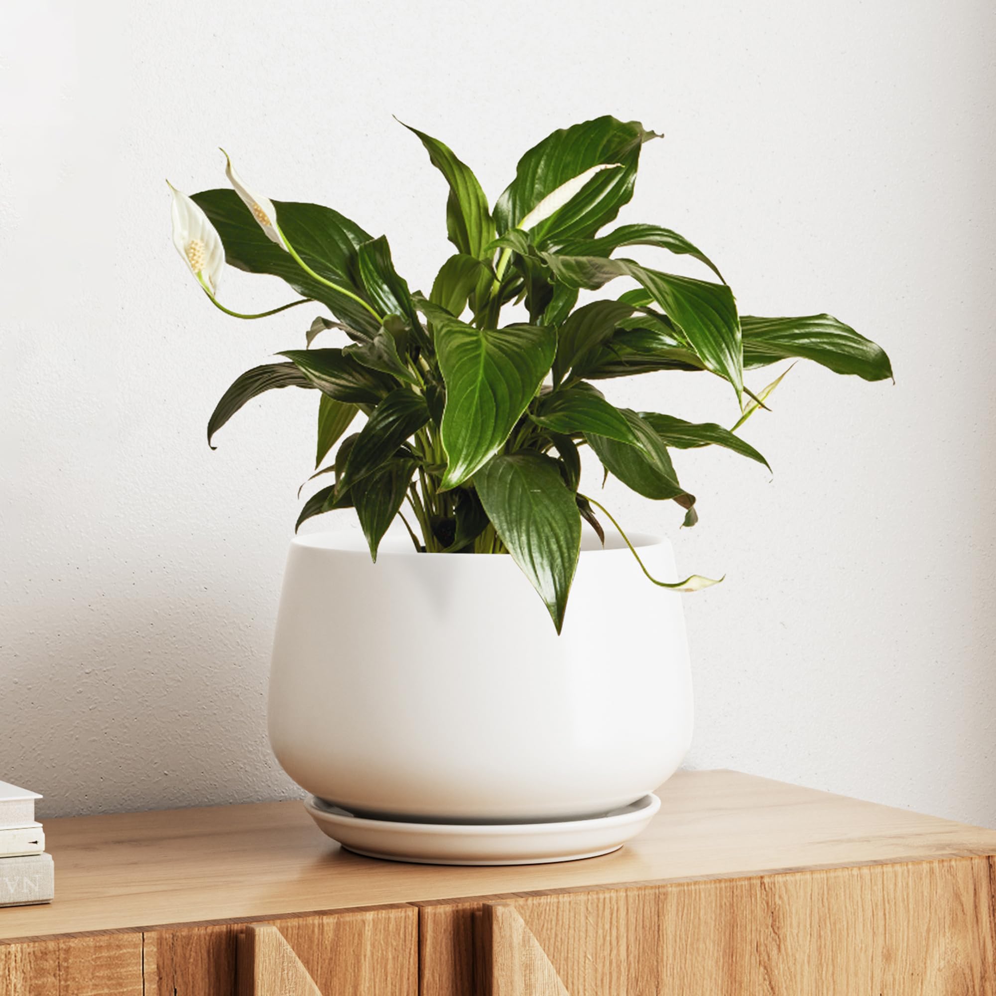 LE TAUCI Ceramic Planter, 10 Inch Plant Pot with Drainage Hole & Saucer – Durable Indoor Planter for Modern Home Decor, Reactive Glaze Beige