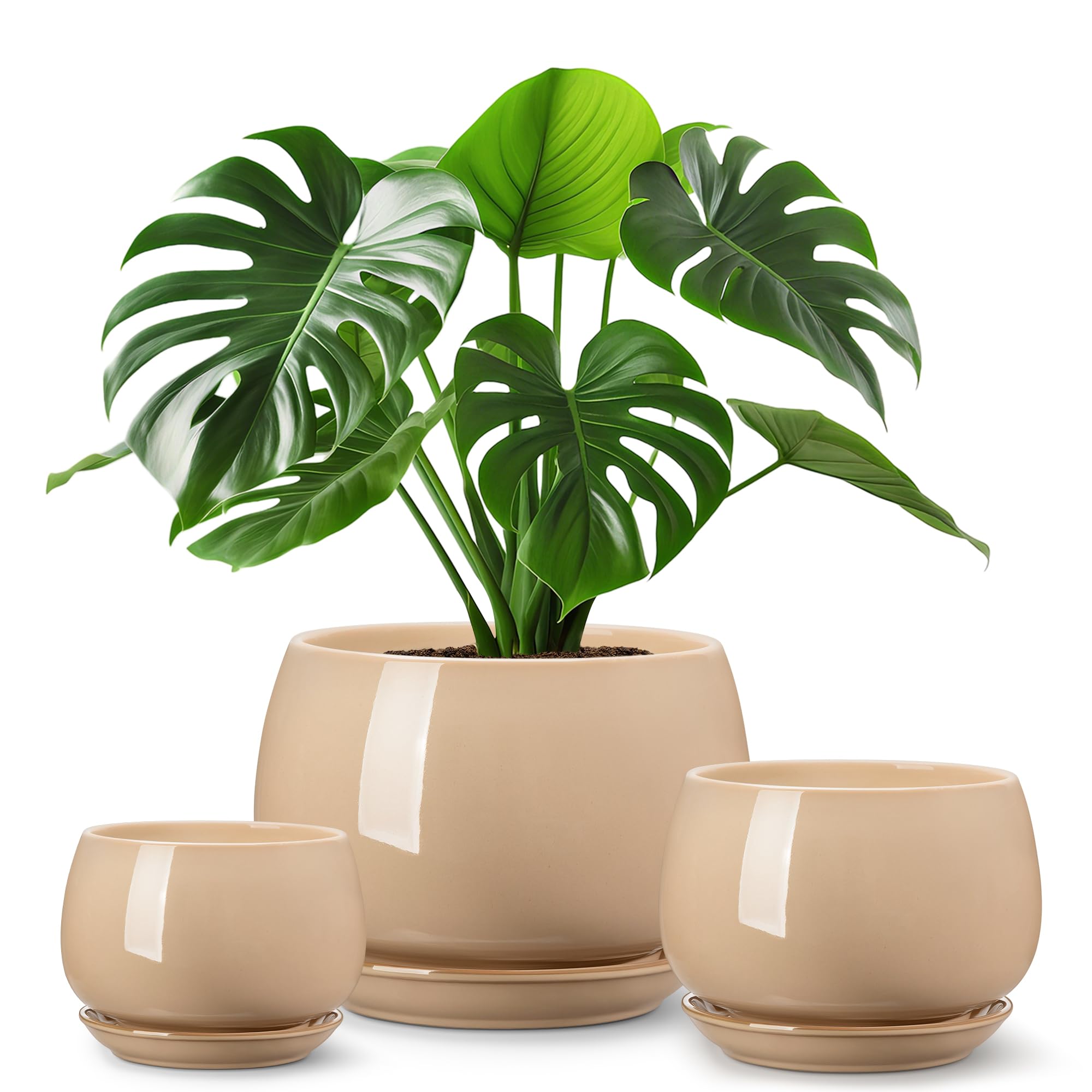 vancasso 3-Pack Ceramic Plant Pots, 3.7/4.8/6.2 Inch Indoor Planters with Saucers & Drainage Hole Planter pots for Indoor Plants and Flower, White
