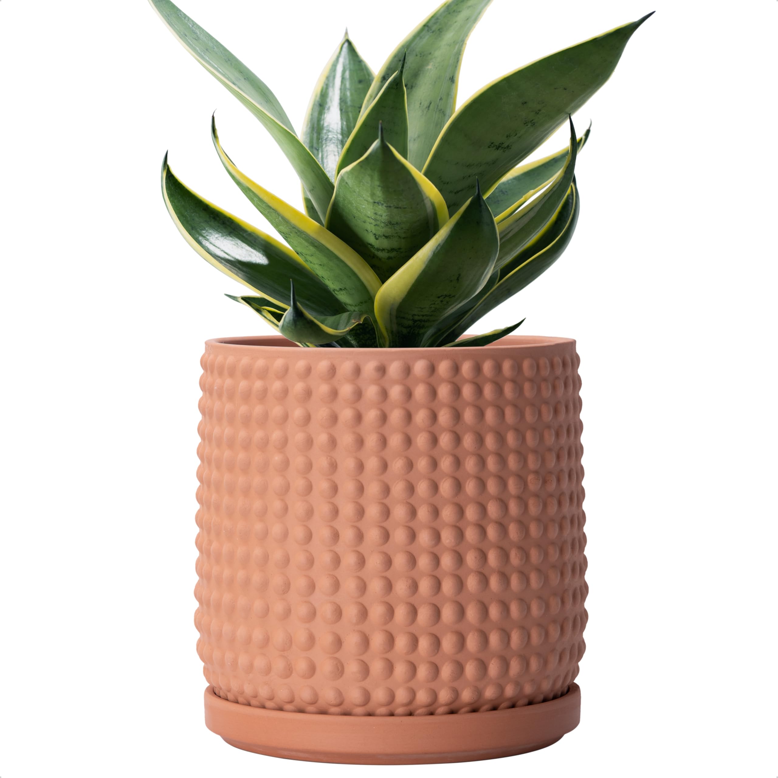 D'vine Dev 4 Inch Ceramic Beaded Stoneware Planter Pot - Flower Pot with Drainage Holes and Saucers for Indoor Succulent Plants or Flowers, Smoked White, 27-C-Z-1