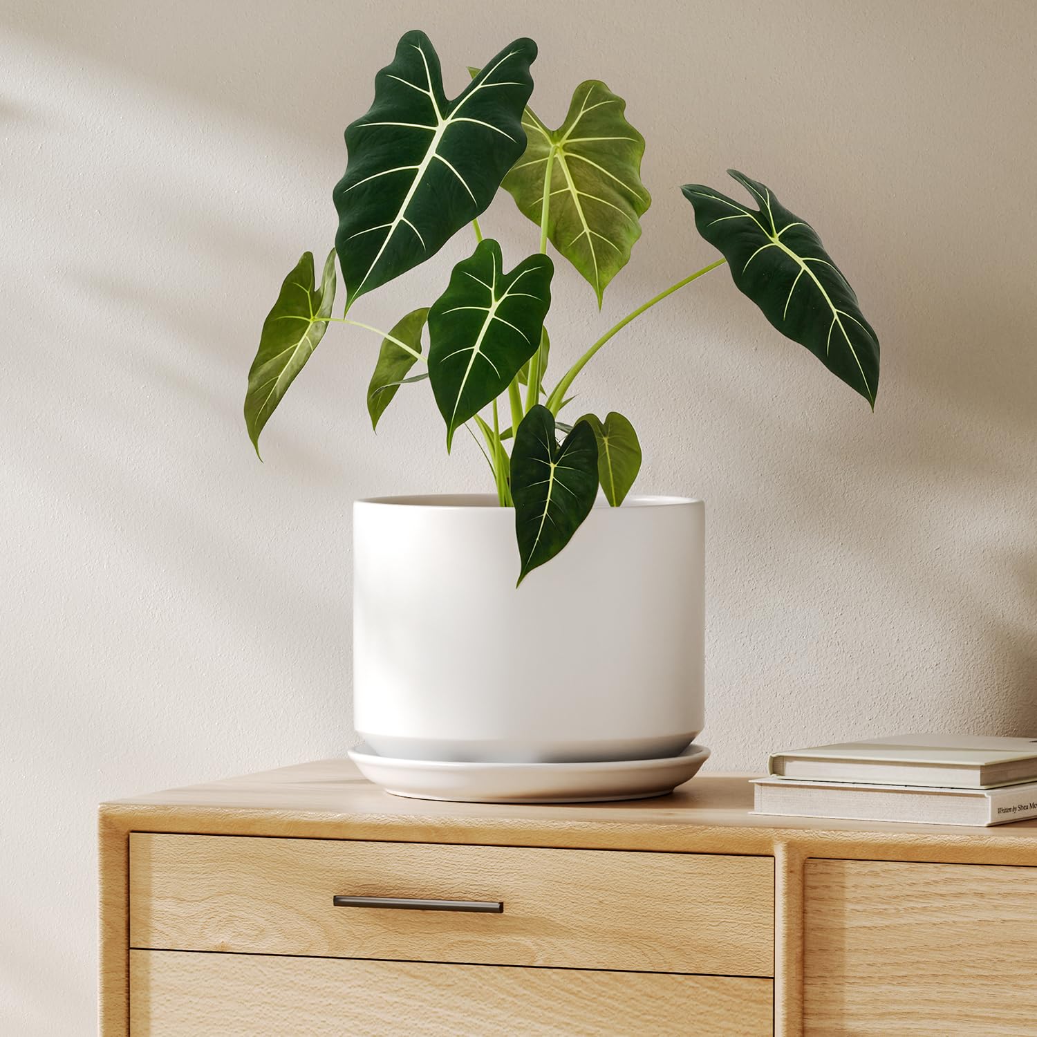 LE TAUCI 12 Inch Pots for Plants, Ceramic Plant Pots with Drainage Holes and Saucers, Elegant and Durable Large Plant Pot, Perfect for Home & Office Decor, White