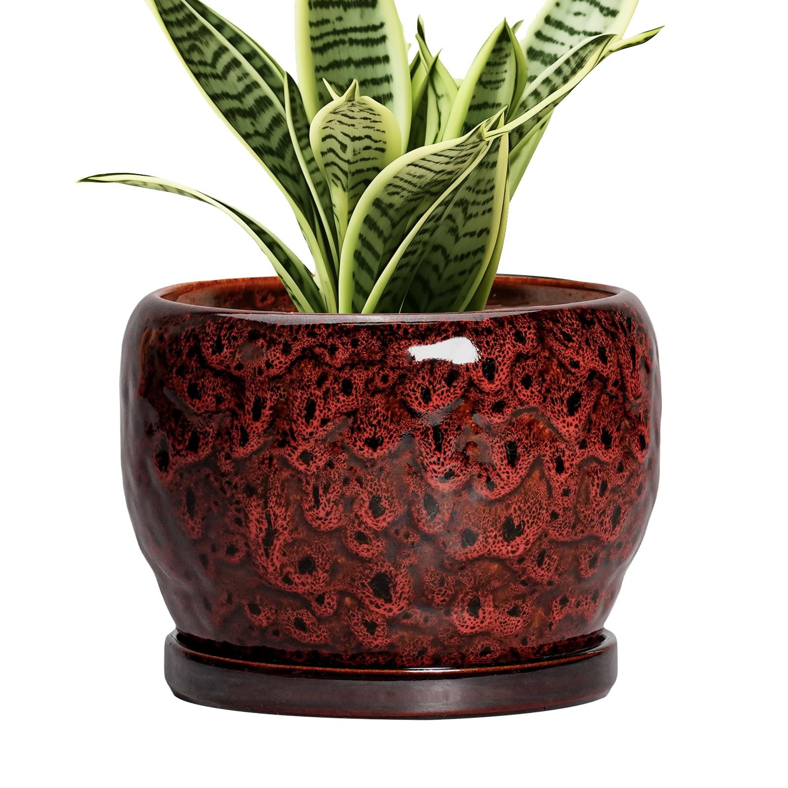 SQOWL Ceramic Planter 8 Inch - Pot for Indoor Outdoor Plants Round Ceramic Plant Pot with Drainage Hole and Saucer Modern Flower Pot Glazed Blue
