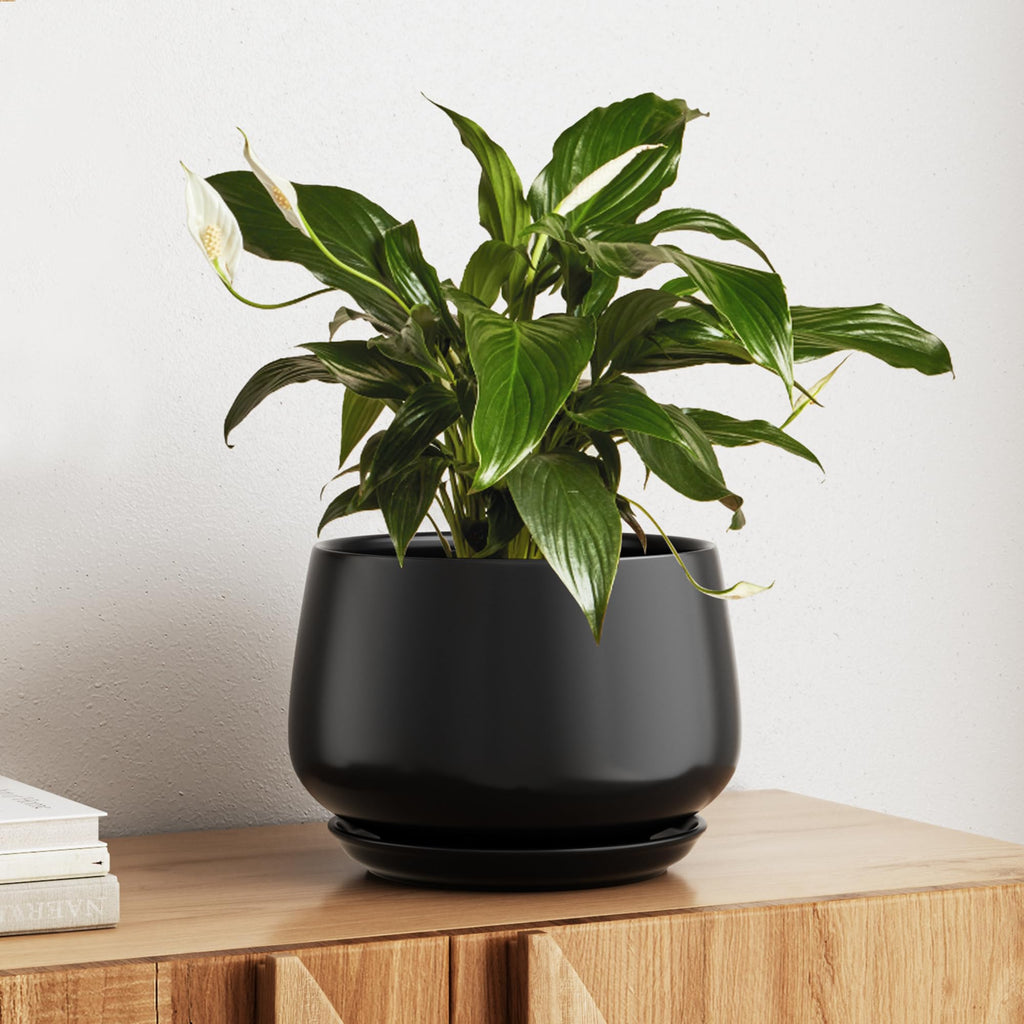 LE TAUCI Ceramic Planter, 10 Inch Plant Pot with Drainage Hole & Saucer – Durable Indoor Planter for Modern Home Decor, Reactive Glaze Beige