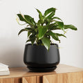 LE TAUCI Ceramic Planter, 10 Inch Plant Pot with Drainage Hole & Saucer – Durable Indoor Planter for Modern Home Decor, Reactive Glaze Beige