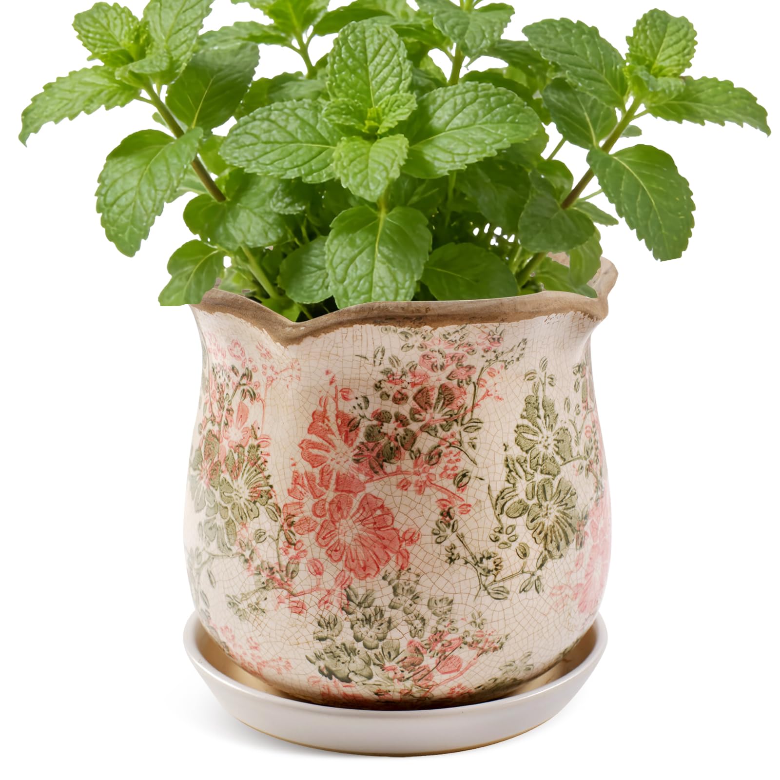Ceramic-Planters-for-Indoor-Plants with Saucer, 6 inch Vintage Ice Crack Glaze Plant Pots with Drainage Holes, Decorative Flower Pots for Outdoor Garden Home Decor, Tuscan Pot for Plant