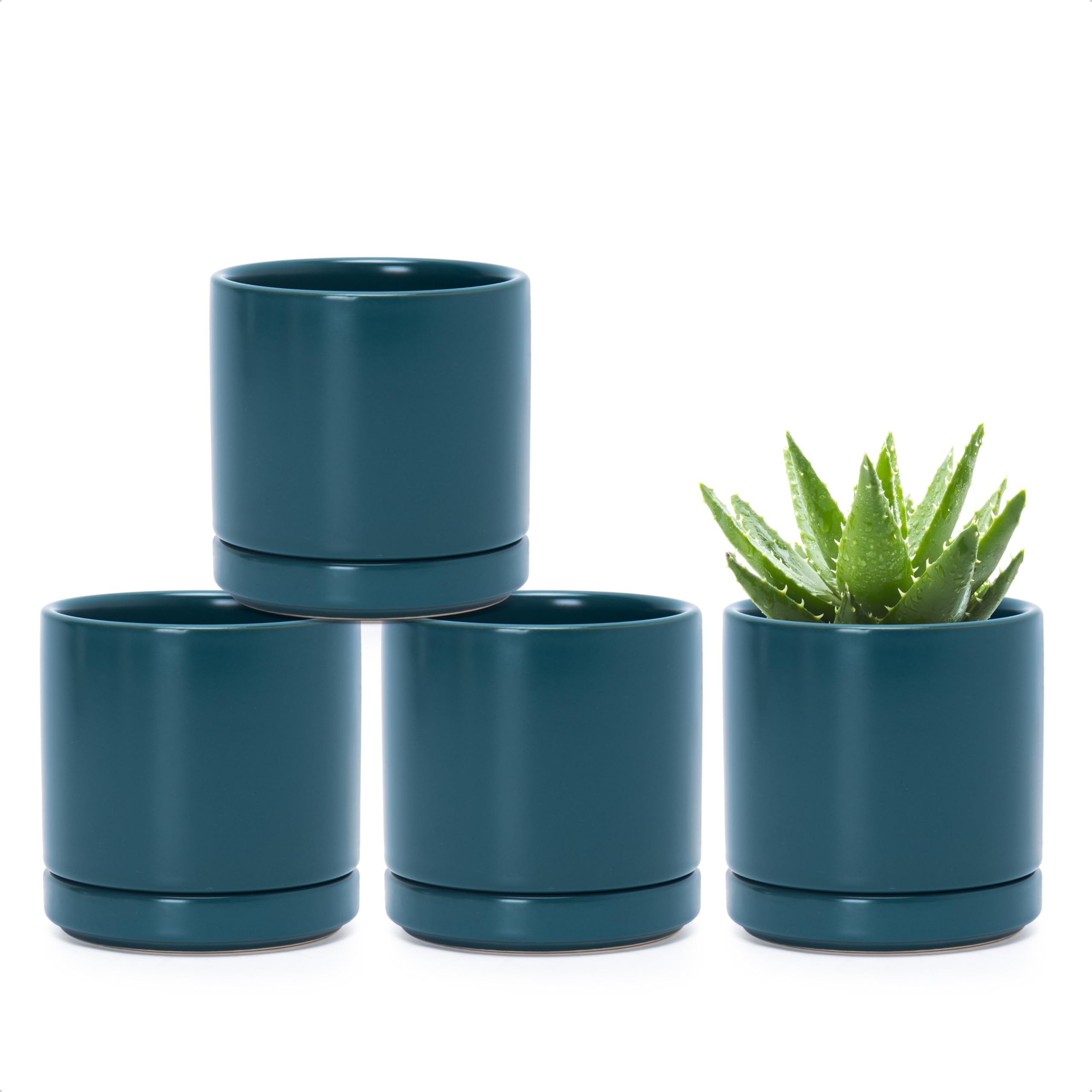 D'vine Dev Set of 4 Small Ceramic Plant Pots, 4.7 Inch Succulent Planter Pot for Plants with Drainage Hole and Saucer, White, 94-X-B-1
