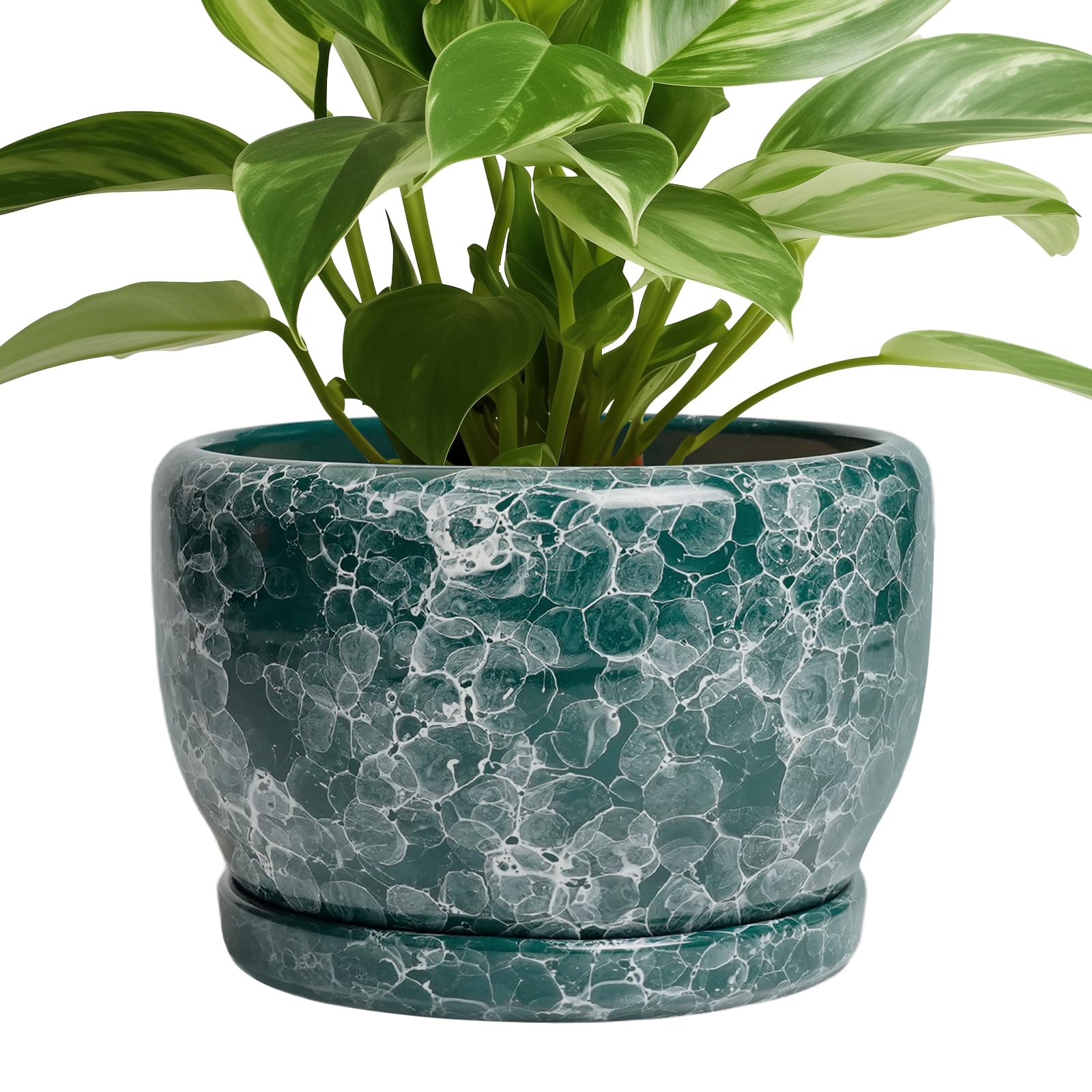 SQOWL Ceramic Planter 8 Inch - Pot for Indoor Outdoor Plants Round Ceramic Plant Pot with Drainage Hole and Saucer Modern Flower Pot Glazed Blue