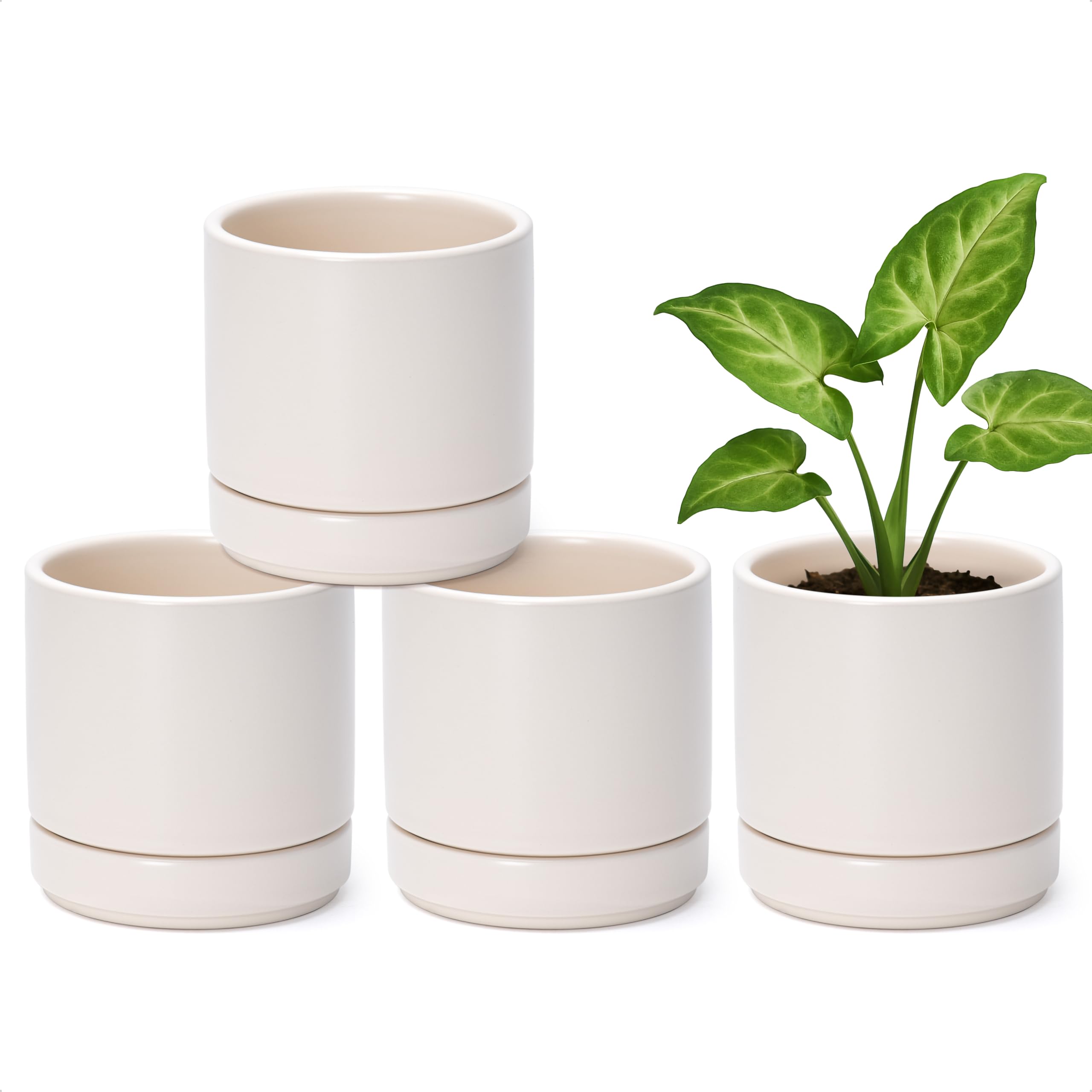 D'vine Dev Set of 4 Small Ceramic Plant Pots, 4.7 Inch Succulent Planter Pot for Plants with Drainage Hole and Saucer, White, 94-X-B-1