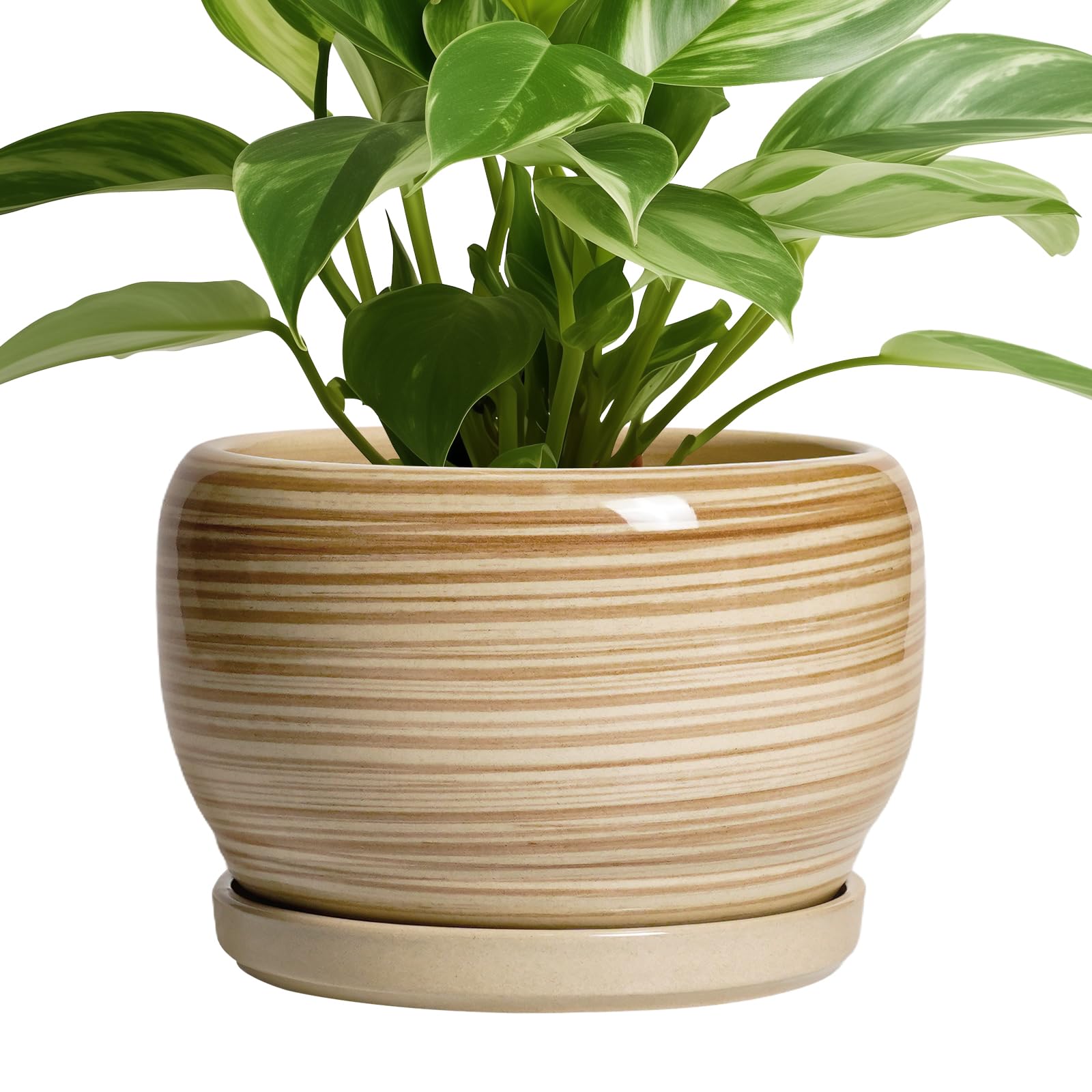 SQOWL Ceramic Planter 8 Inch - Pot for Indoor Outdoor Plants Round Ceramic Plant Pot with Drainage Hole and Saucer Modern Flower Pot Glazed Blue