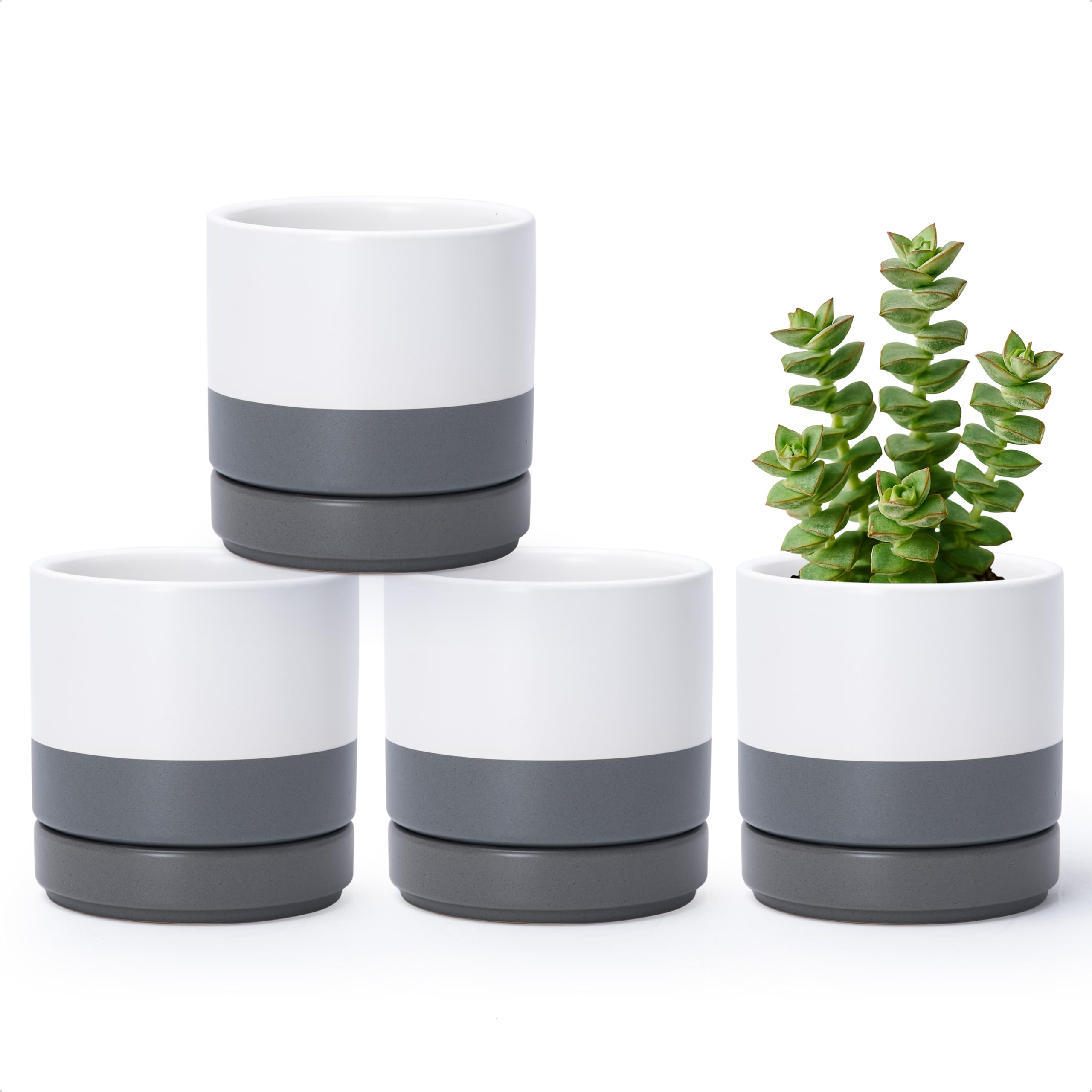 D'vine Dev Set of 4 Small Ceramic Plant Pots, 4.7 Inch Succulent Planter Pot for Plants with Drainage Hole and Saucer, White, 94-X-B-1