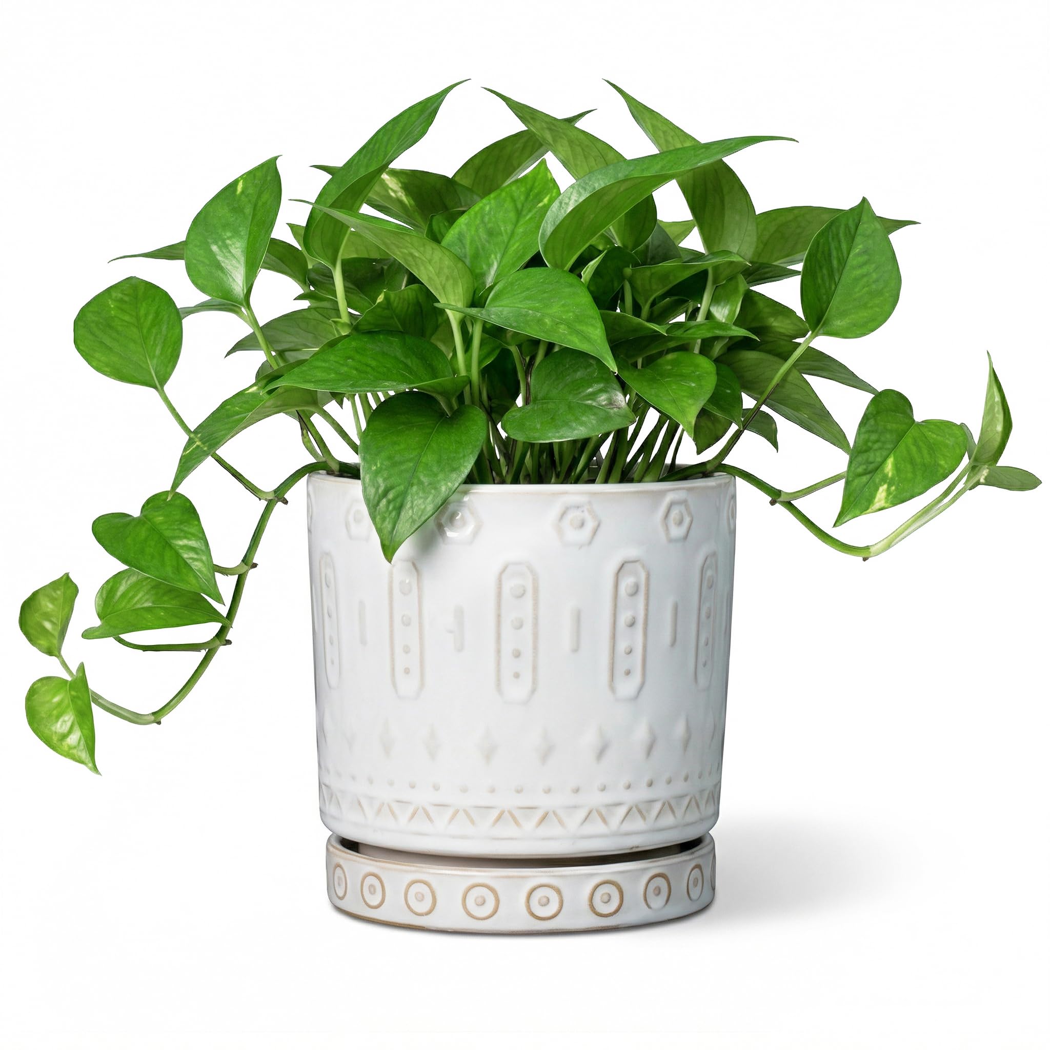Eightpot 12 Inch Pot for Plants - Ceramic Planter for Indoor Plants Large Plant Pot with Drainage Holes and Saucer Outdoor Flower Pot Decorative Round Planter for Porch Office Decor Blue