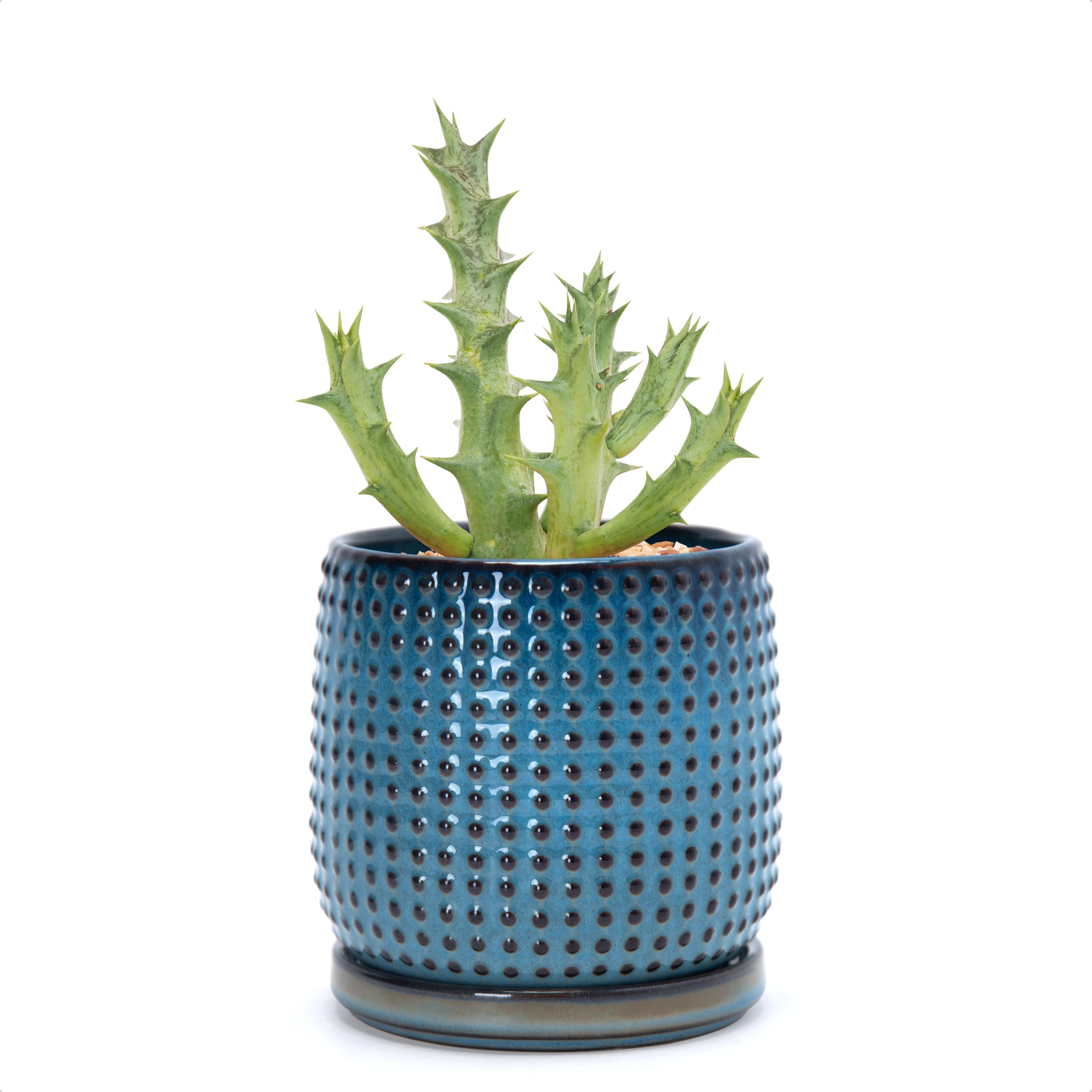 D'vine Dev 4 Inch Ceramic Beaded Stoneware Planter Pot - Flower Pot with Drainage Holes and Saucers for Indoor Succulent Plants or Flowers, Smoked White, 27-C-Z-1