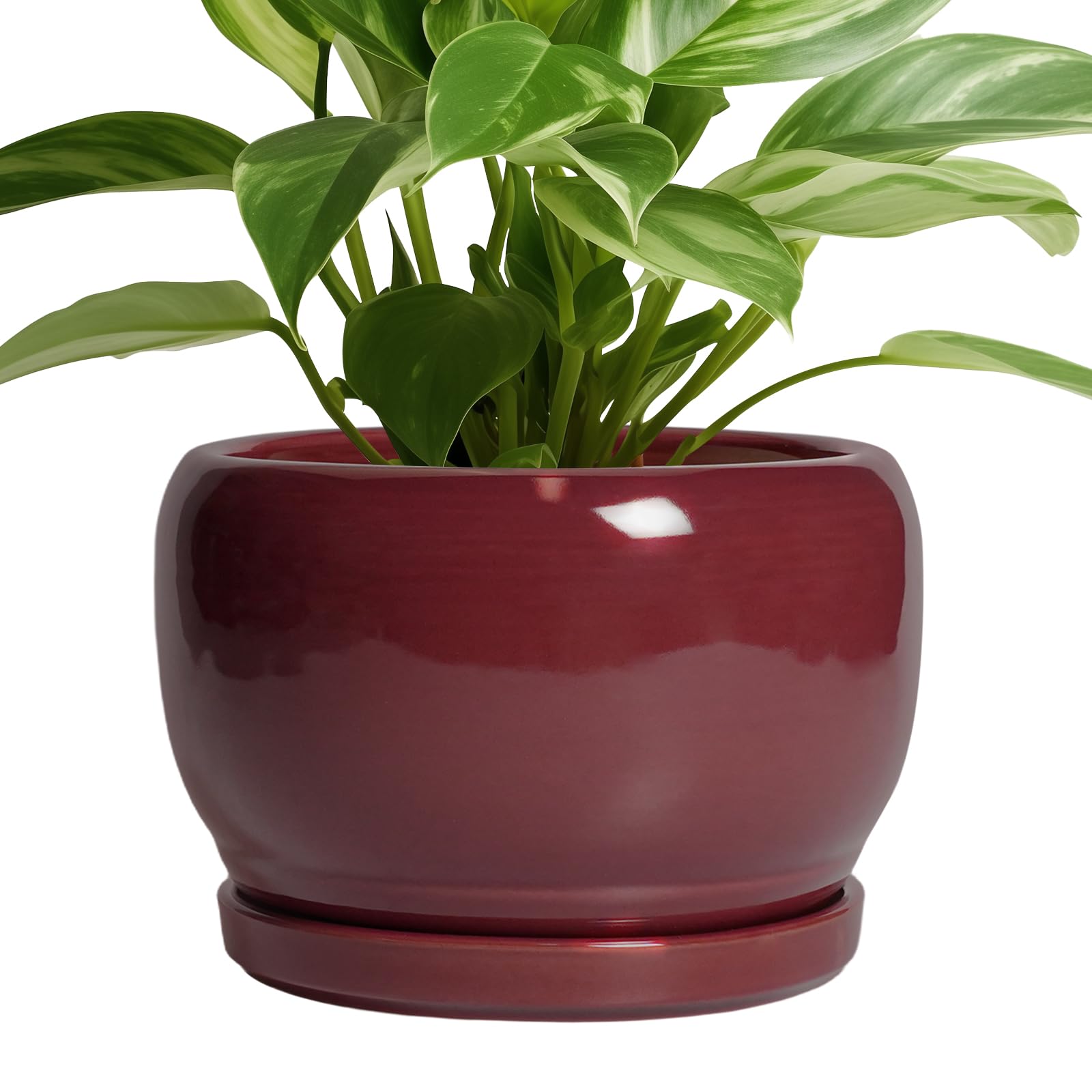 SQOWL Ceramic Planter 8 Inch - Pot for Indoor Outdoor Plants Round Ceramic Plant Pot with Drainage Hole and Saucer Modern Flower Pot Glazed Blue