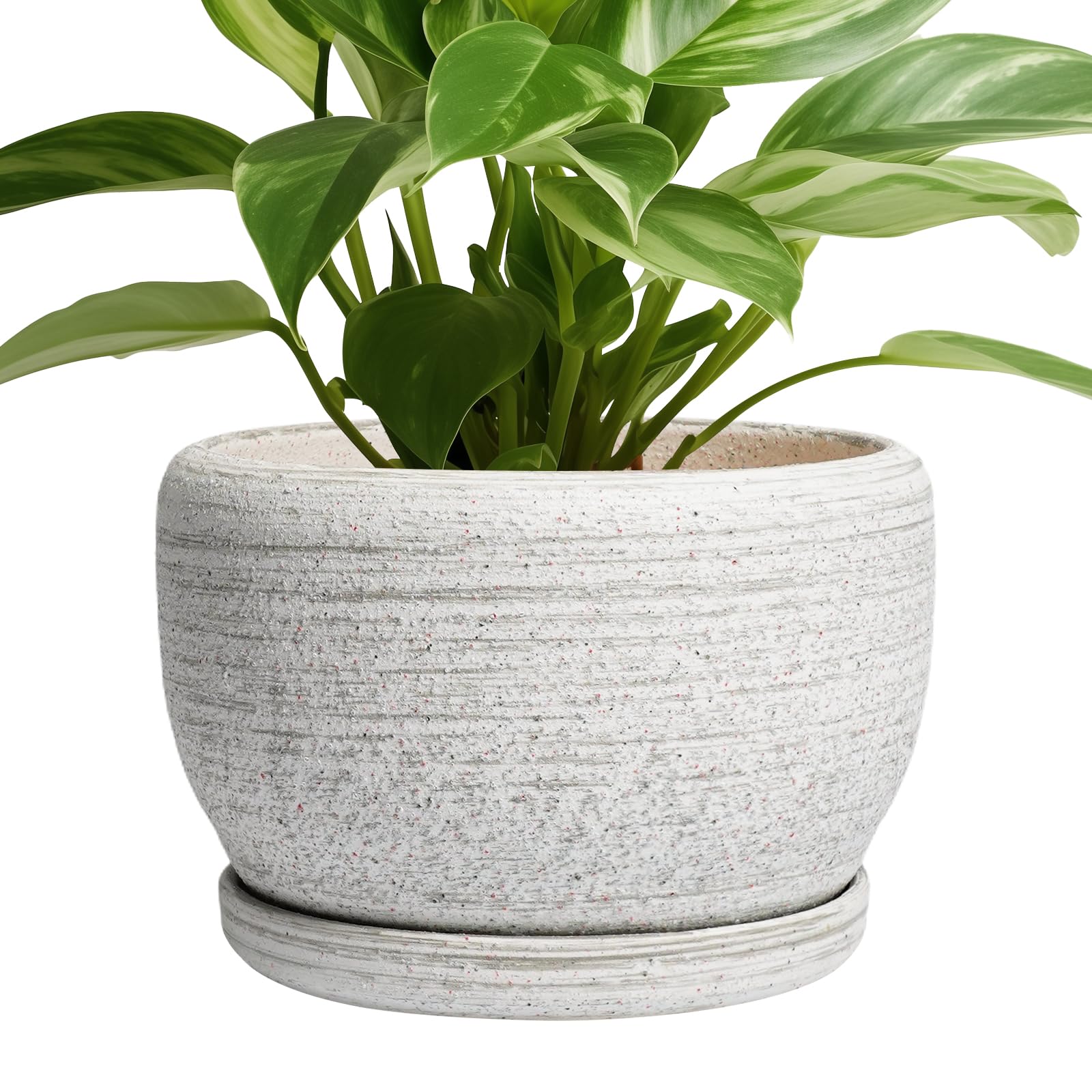 SQOWL Ceramic Planter 8 Inch - Pot for Indoor Outdoor Plants Round Ceramic Plant Pot with Drainage Hole and Saucer Modern Flower Pot Glazed Blue
