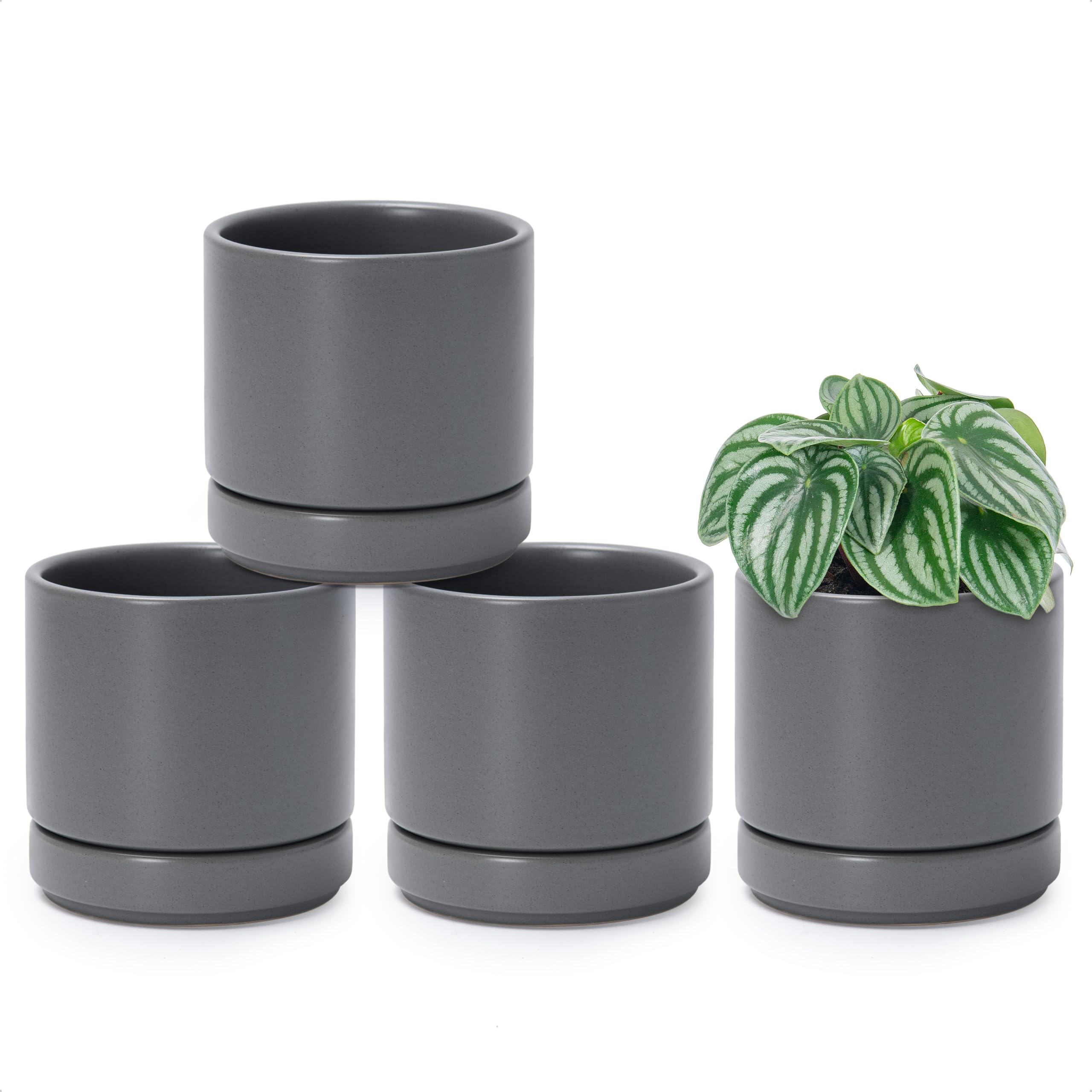 D'vine Dev Set of 4 Small Ceramic Plant Pots, 4.7 Inch Succulent Planter Pot for Plants with Drainage Hole and Saucer, White, 94-X-B-1