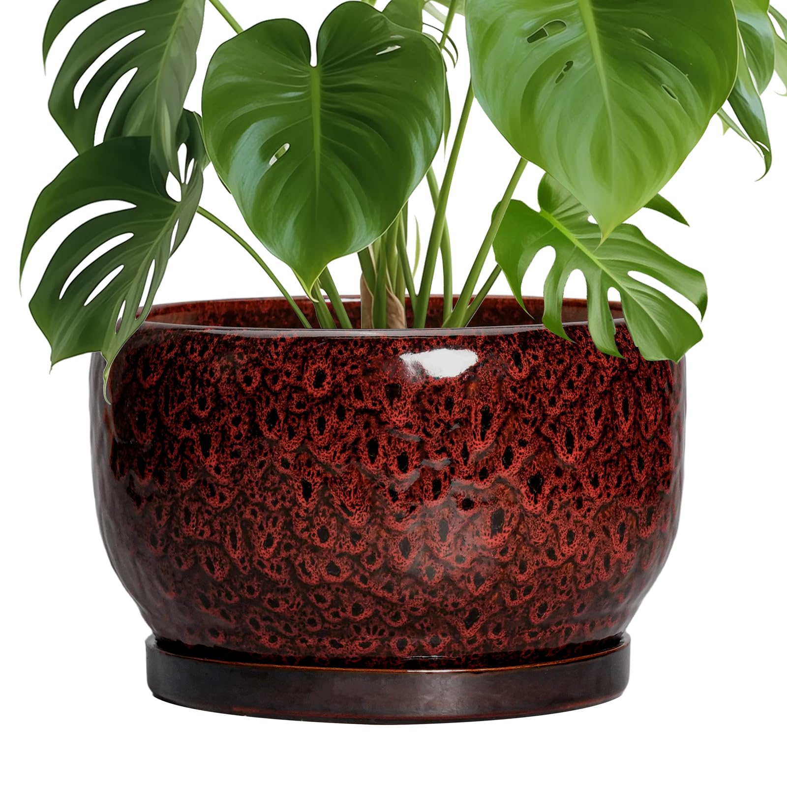 SQOWL Ceramic Planter 8 Inch - Pot for Indoor Outdoor Plants Round Ceramic Plant Pot with Drainage Hole and Saucer Modern Flower Pot Glazed Blue