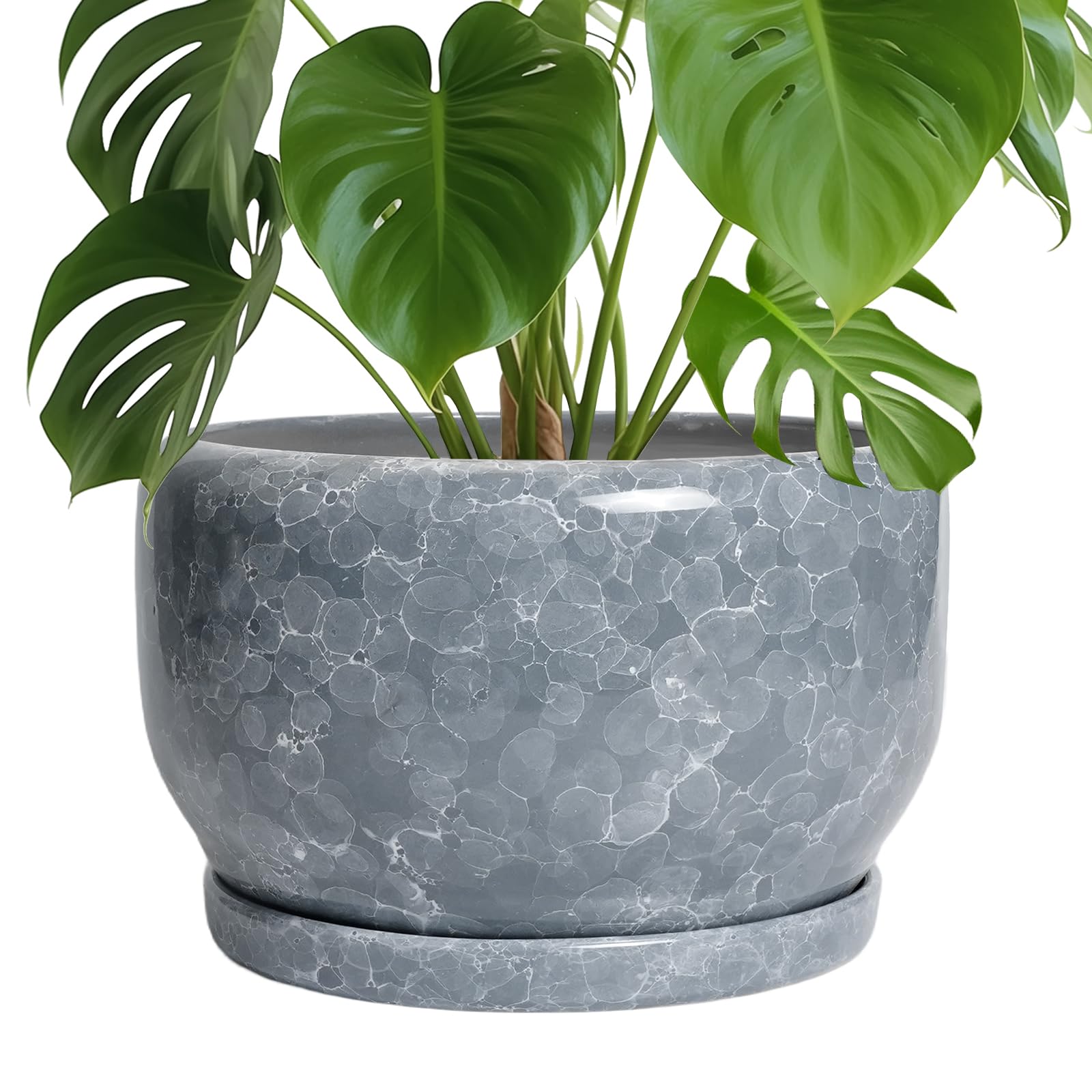 SQOWL Ceramic Planter 8 Inch - Pot for Indoor Outdoor Plants Round Ceramic Plant Pot with Drainage Hole and Saucer Modern Flower Pot Glazed Blue