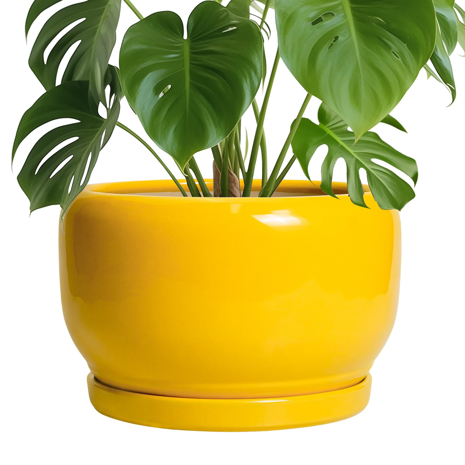 SQOWL Ceramic Planter 8 Inch - Pot for Indoor Outdoor Plants Round Ceramic Plant Pot with Drainage Hole and Saucer Modern Flower Pot Glazed Blue
