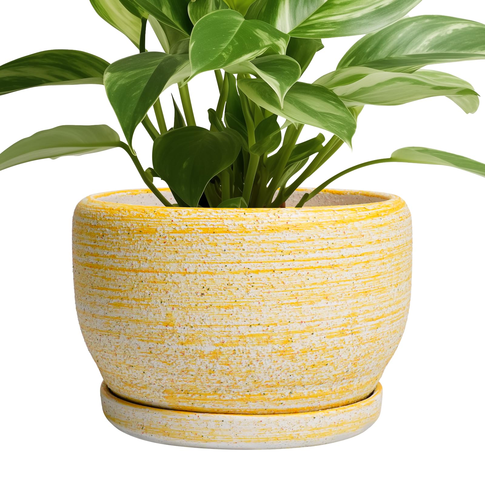 SQOWL Ceramic Planter 8 Inch - Pot for Indoor Outdoor Plants Round Ceramic Plant Pot with Drainage Hole and Saucer Modern Flower Pot Glazed Blue