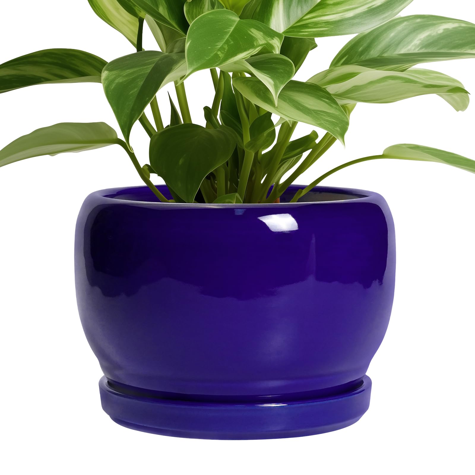 SQOWL Ceramic Planter 8 Inch - Pot for Indoor Outdoor Plants Round Ceramic Plant Pot with Drainage Hole and Saucer Modern Flower Pot Glazed Blue