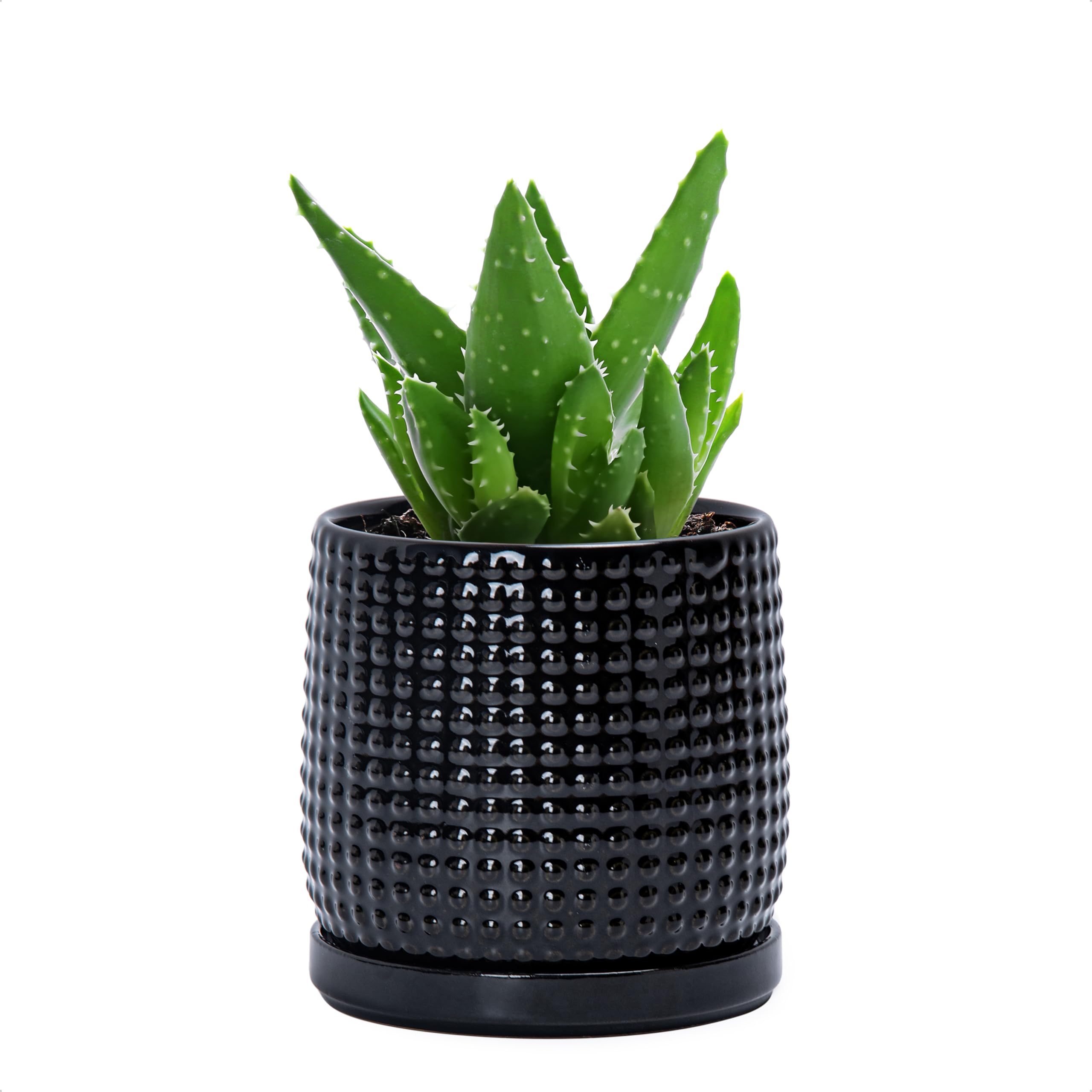 D'vine Dev 4 Inch Ceramic Beaded Stoneware Planter Pot - Flower Pot with Drainage Holes and Saucers for Indoor Succulent Plants or Flowers, Smoked White, 27-C-Z-1