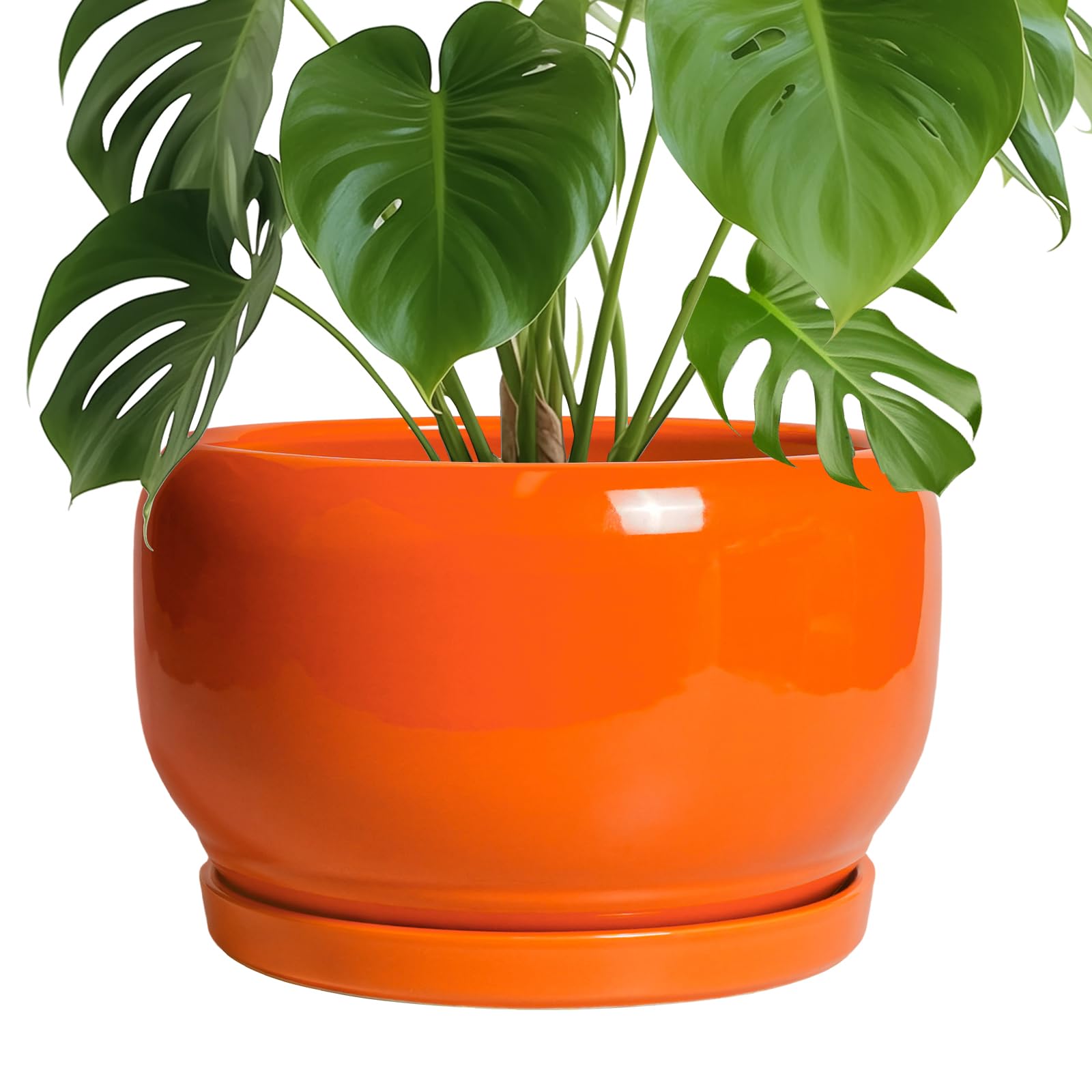 SQOWL Ceramic Planter 8 Inch - Pot for Indoor Outdoor Plants Round Ceramic Plant Pot with Drainage Hole and Saucer Modern Flower Pot Glazed Blue