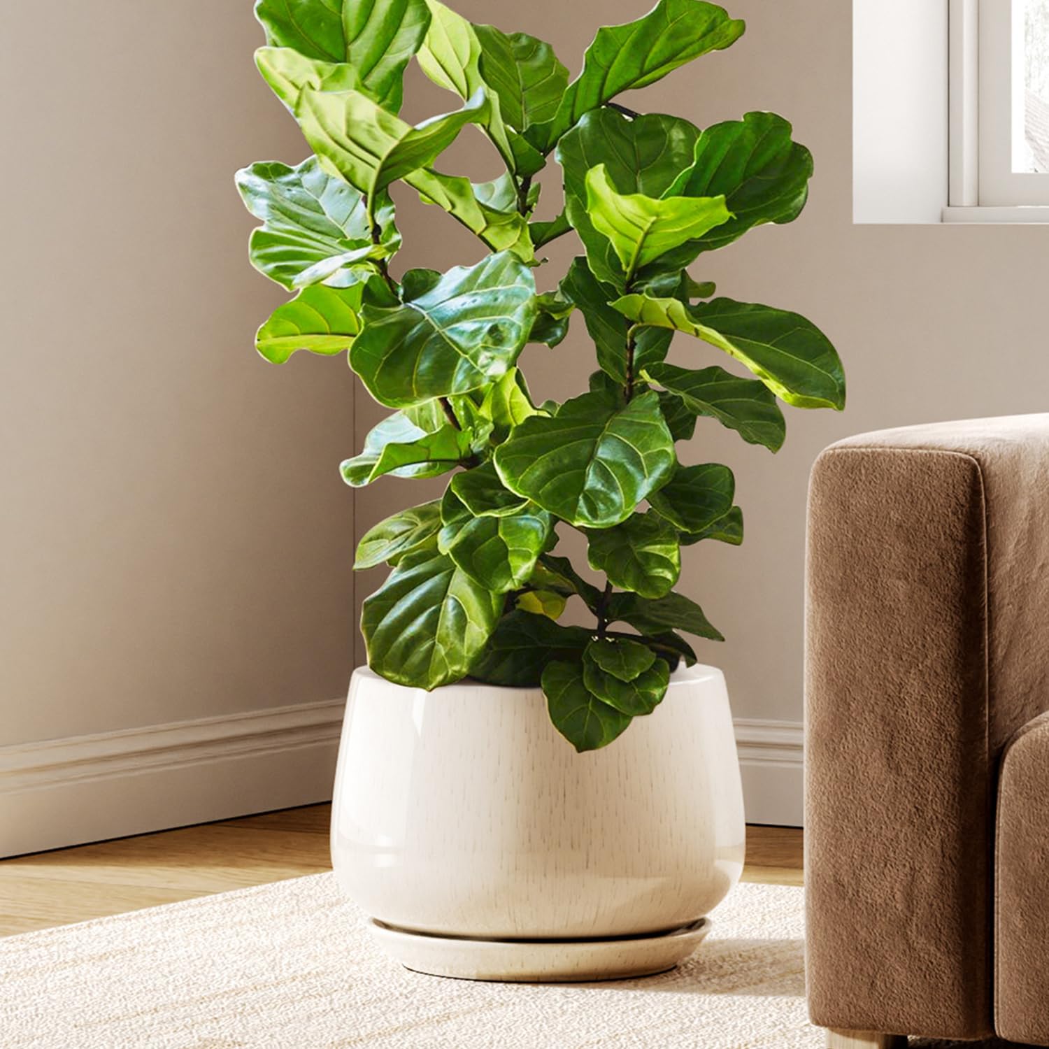 LE TAUCI Ceramic Planter, 10 Inch Plant Pot with Drainage Hole & Saucer – Durable Indoor Planter for Modern Home Decor, Reactive Glaze Beige